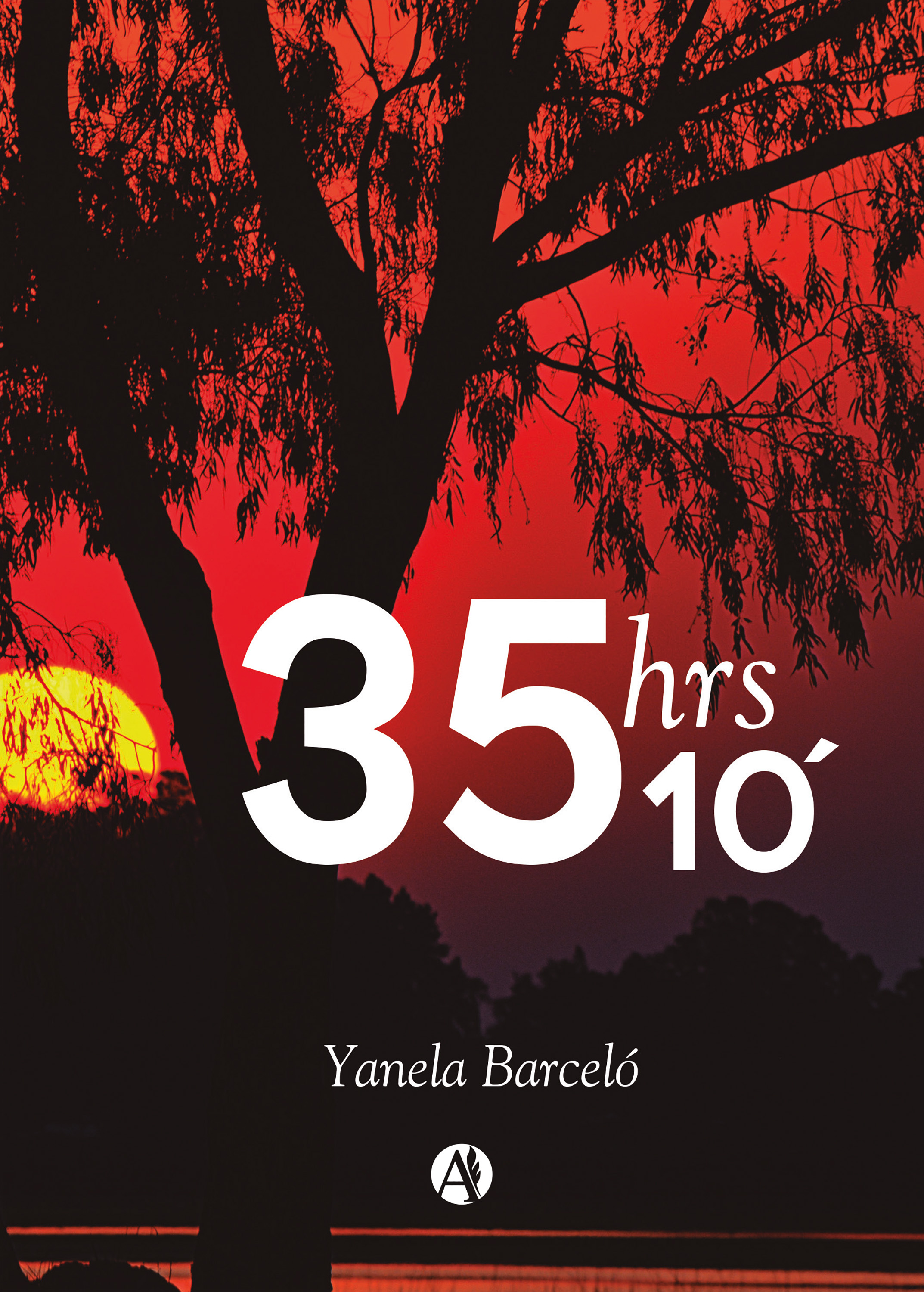 Обложка книги «35hs 10'»