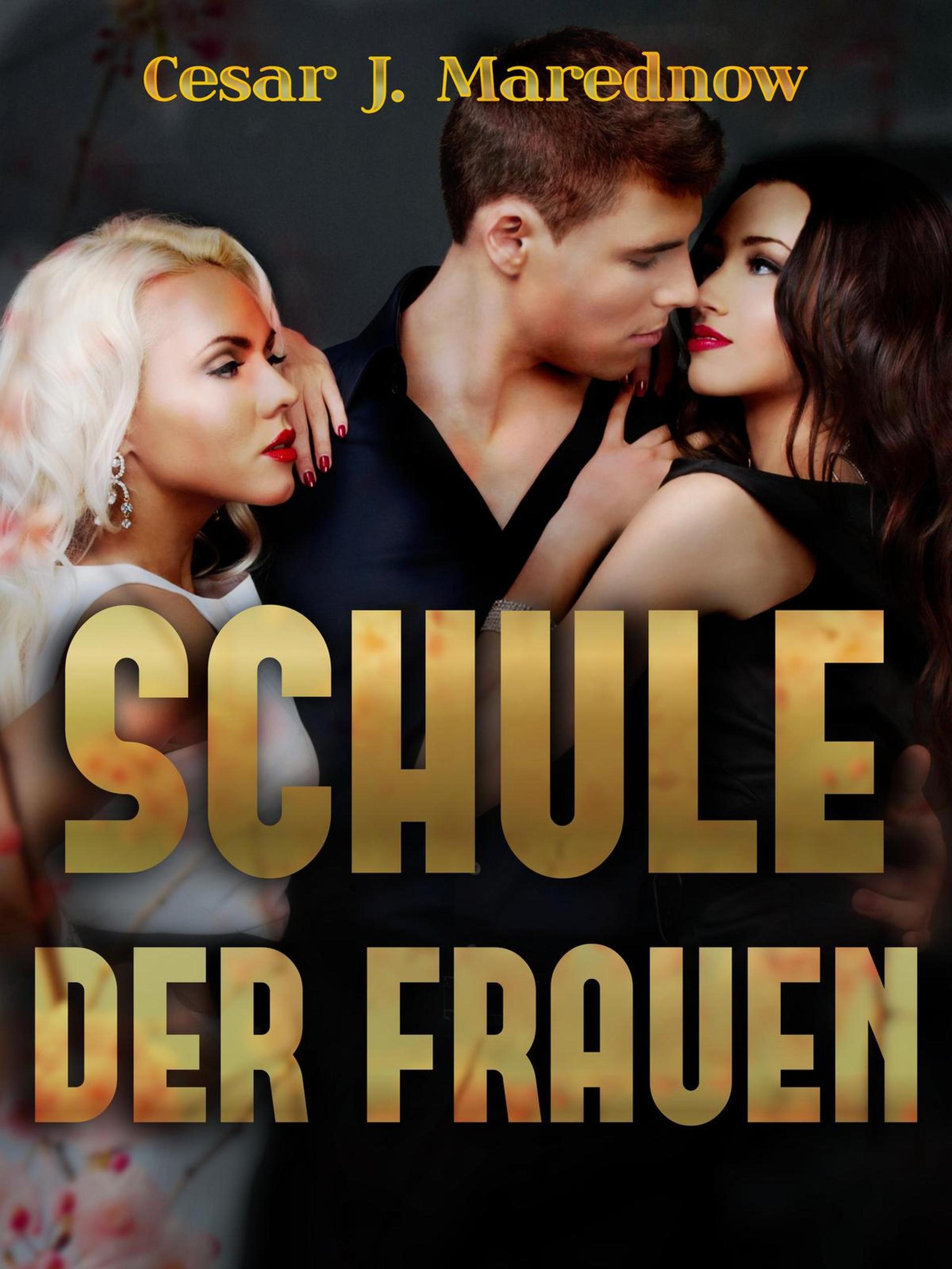 Обложка книги «Schule der Frauen»