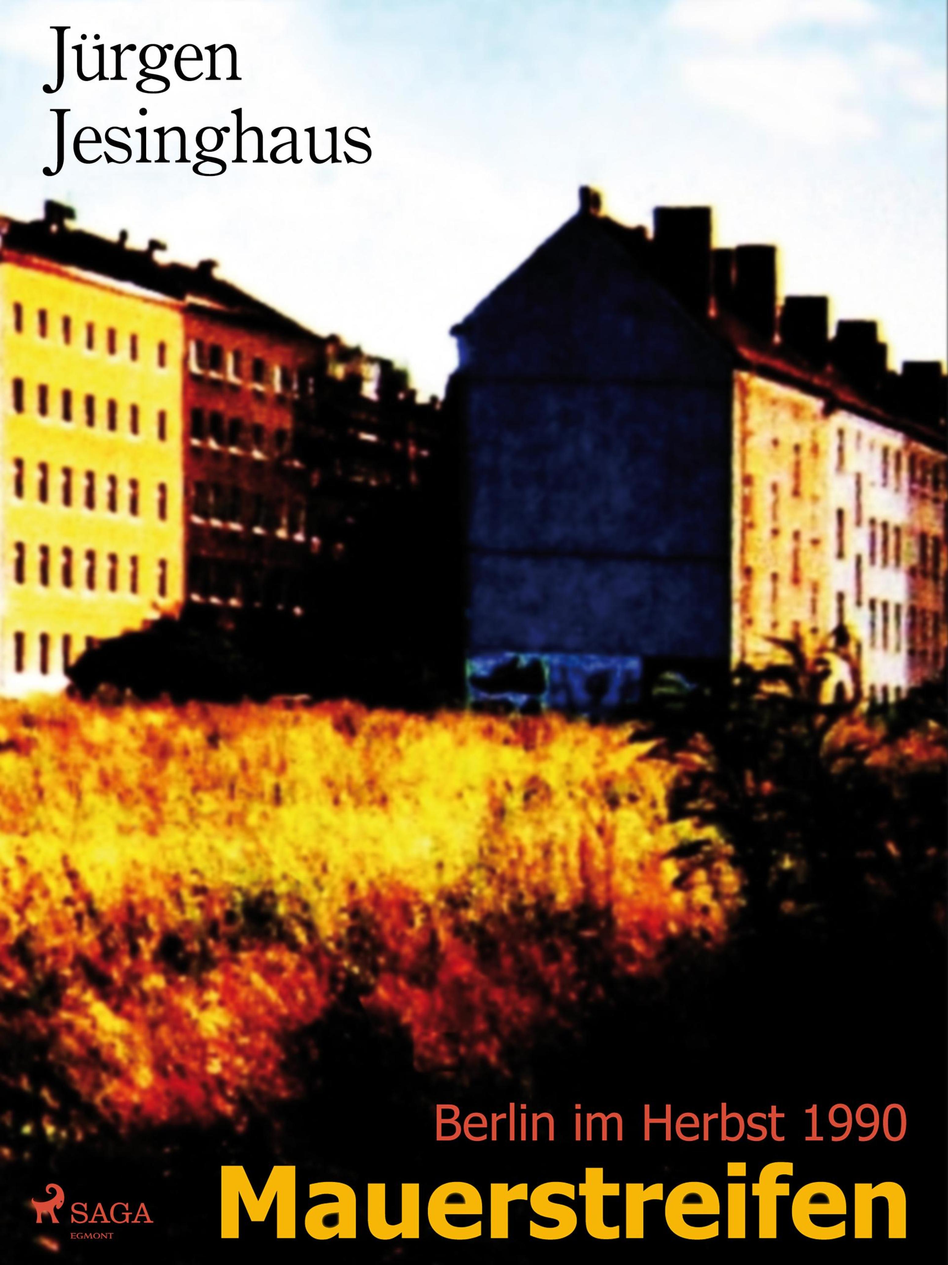 Обложка книги «Mauerstreifen»