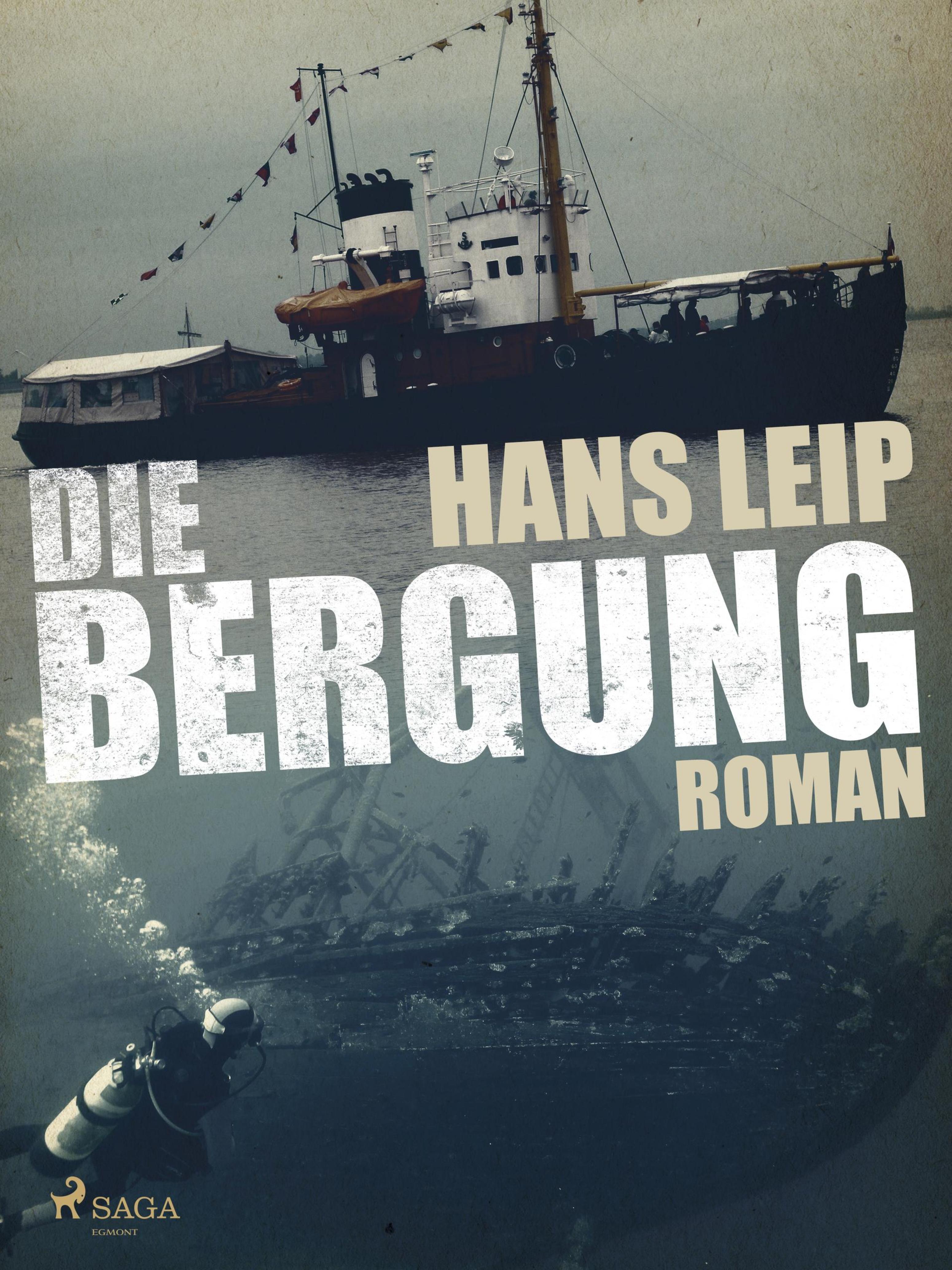 Обложка книги «Die Bergung»