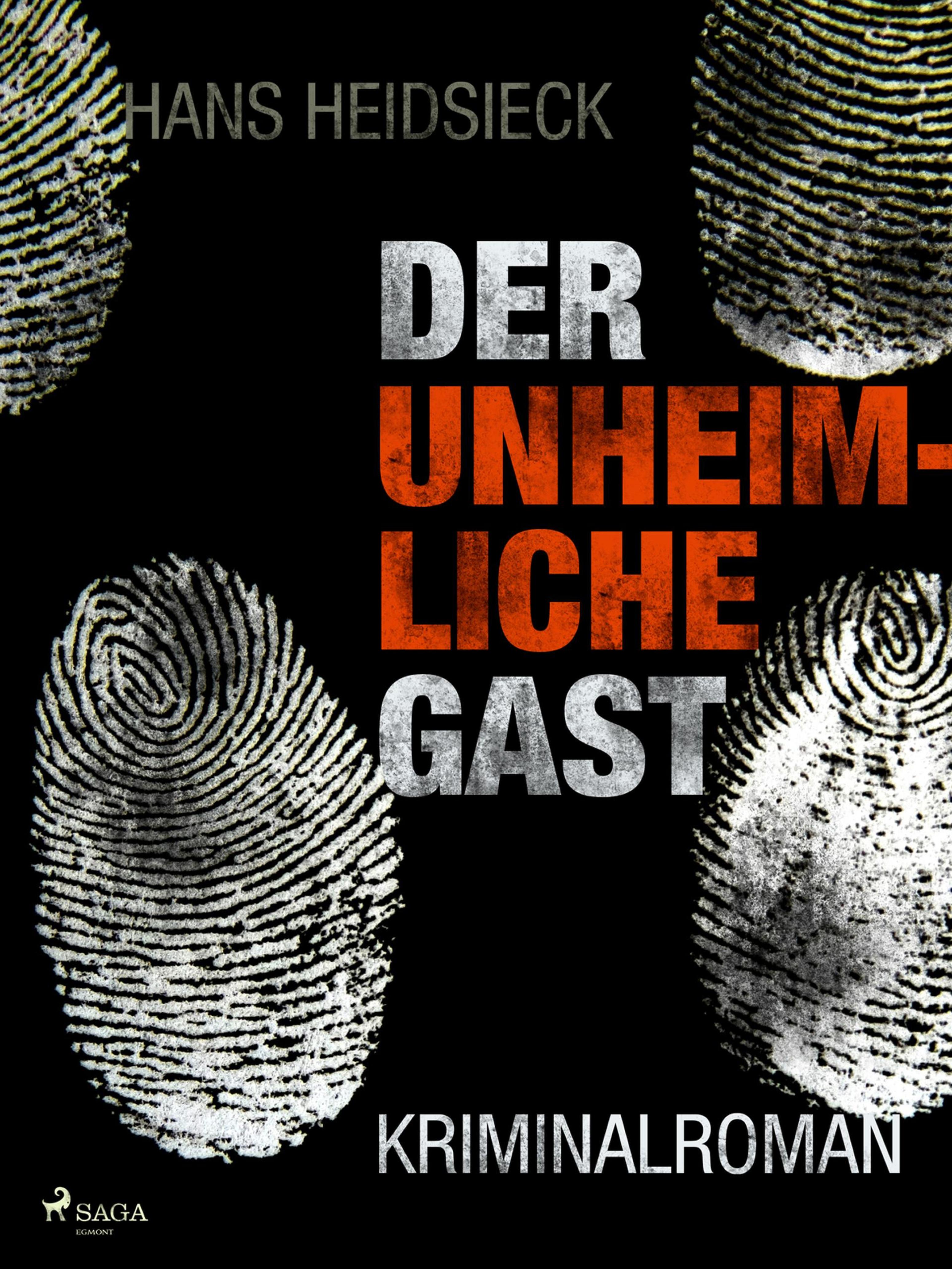 Обложка книги «Der unheimliche Gast»