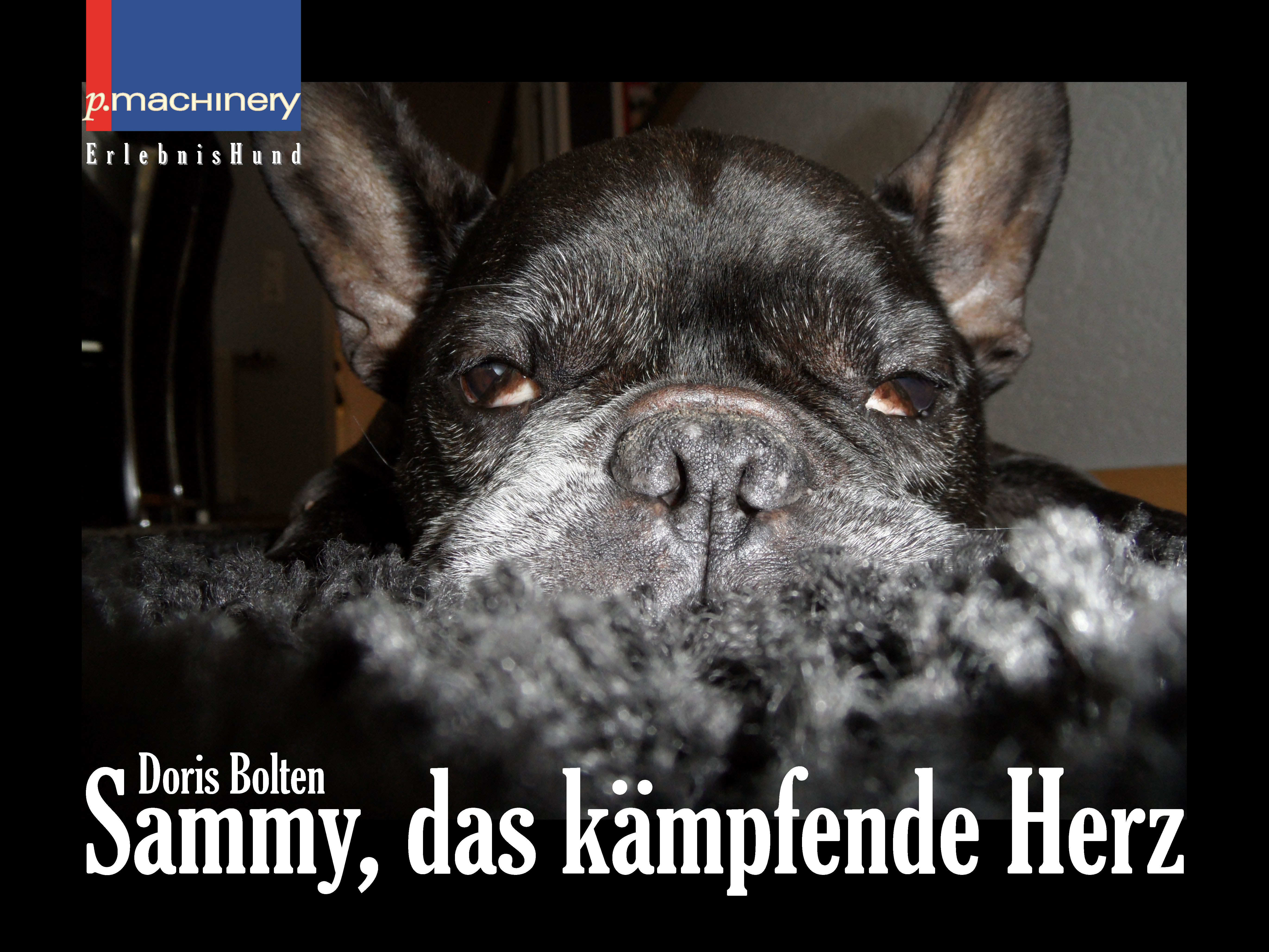Обложка книги «Sammy, das kämpfende Herz»
