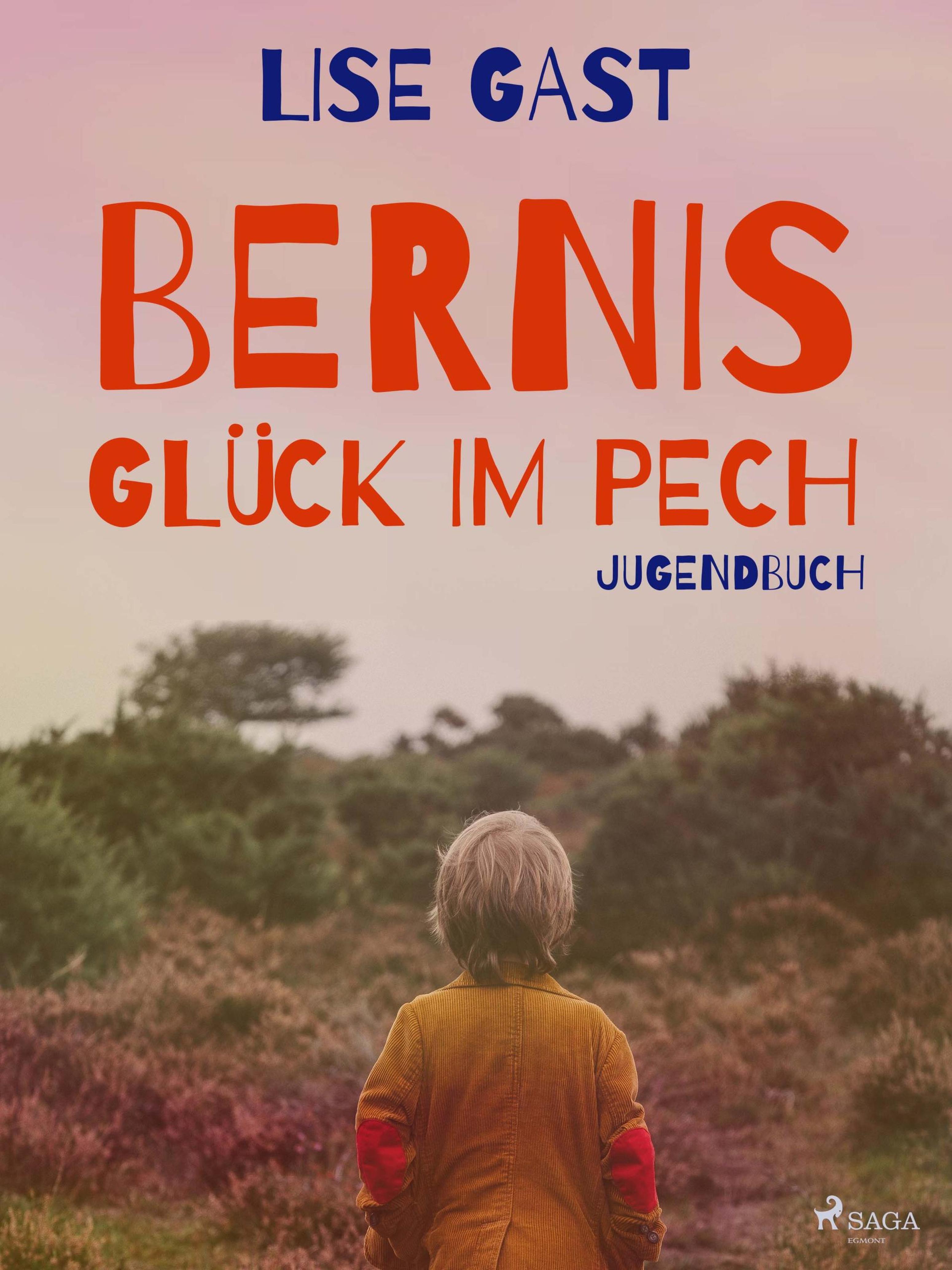 Обложка книги «Bernis Glück im Pech»