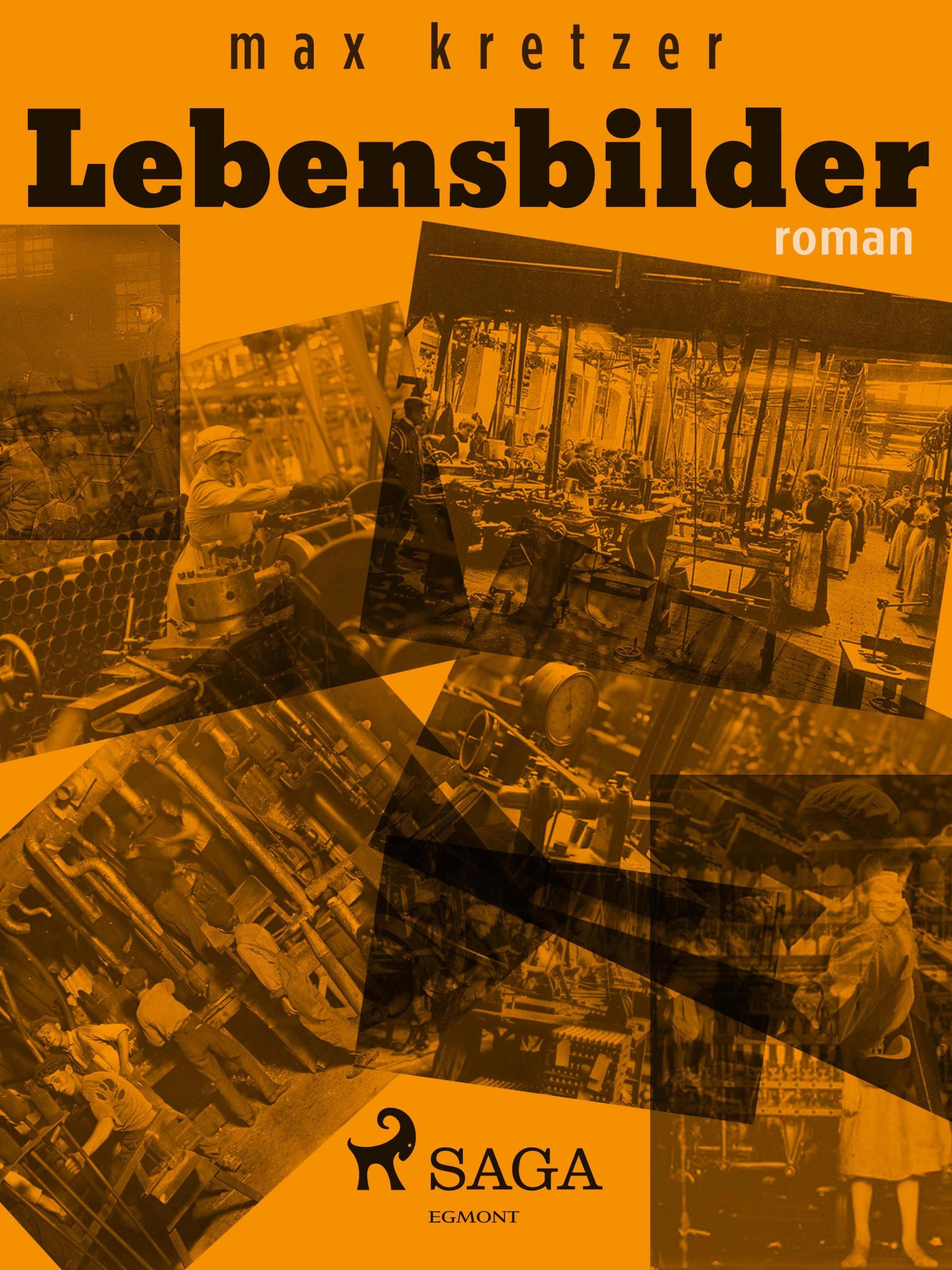 Обложка книги «Lebensbilder»