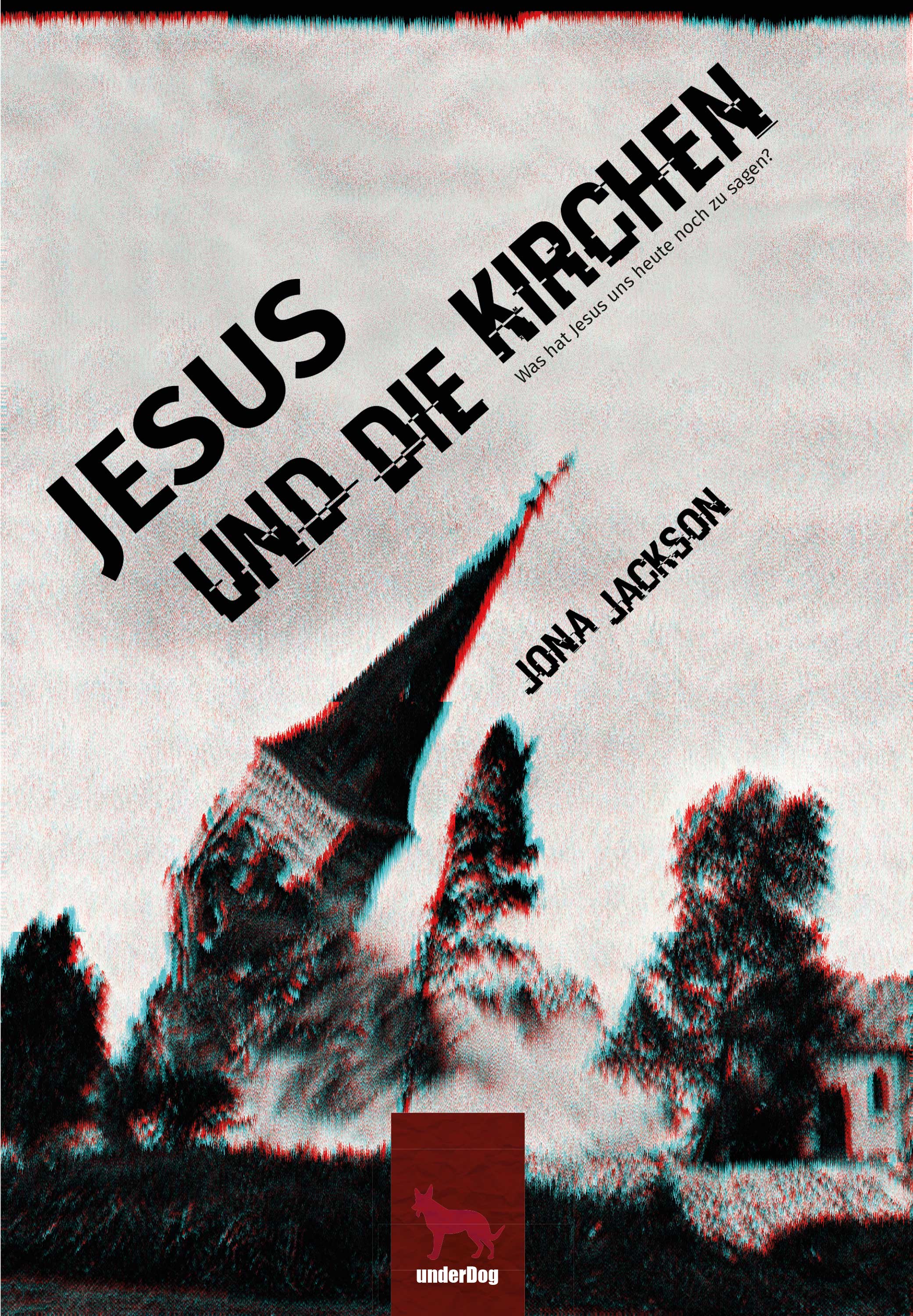 Обложка книги «Jesus und die Kirchen»