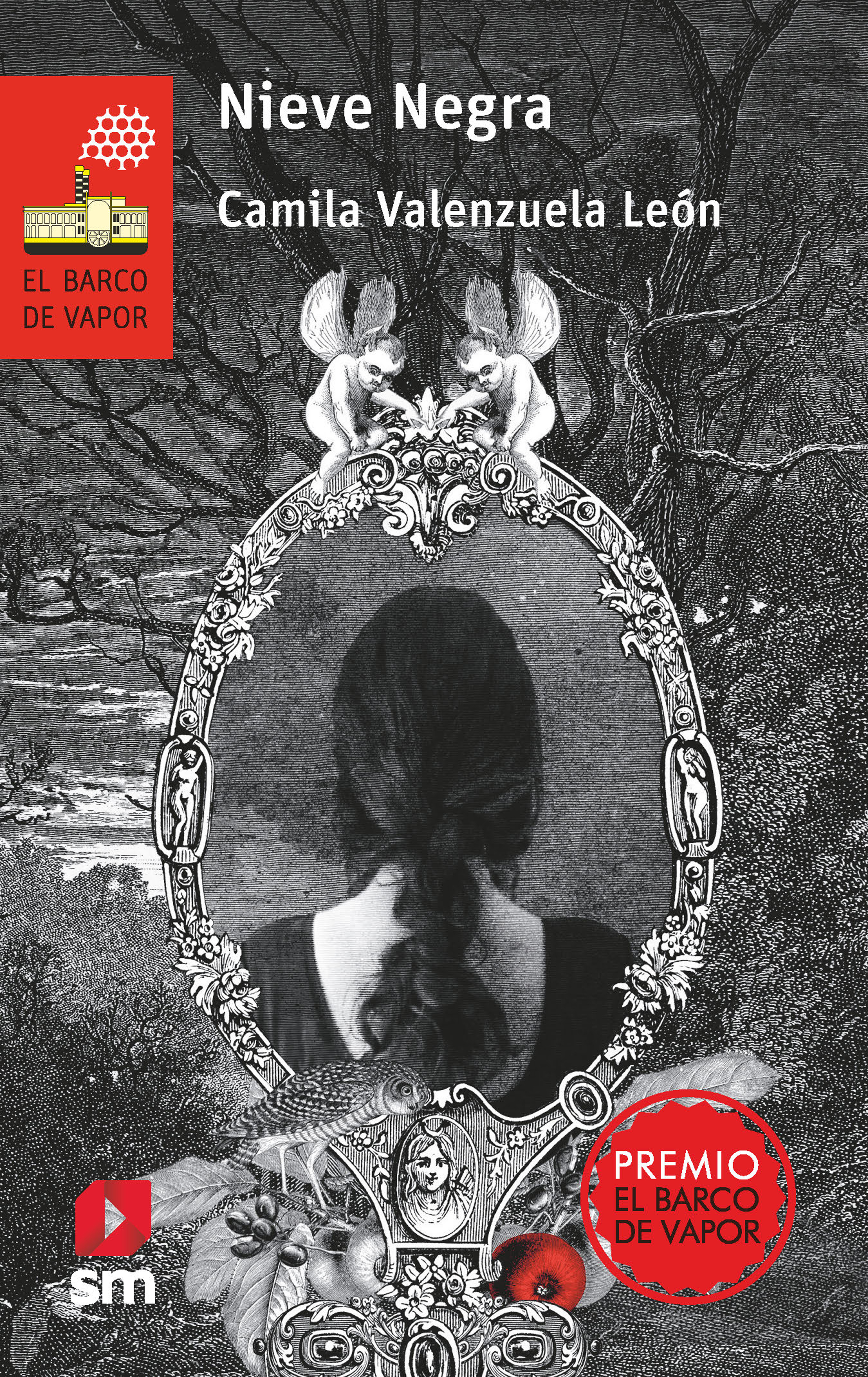 Обложка книги «Nieve Negra»