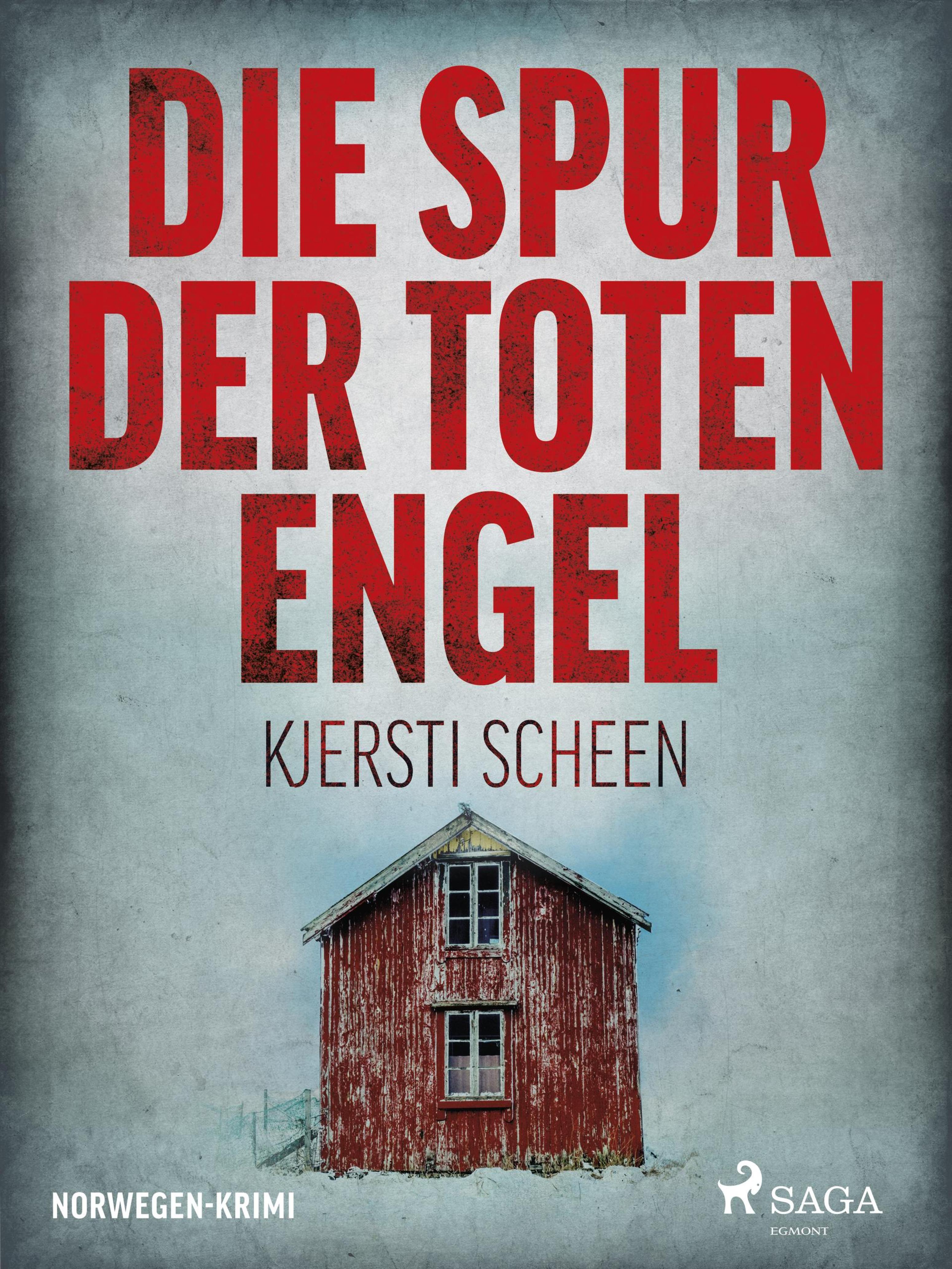Обложка книги «Die Spur der toten Engel - Norwegen-Krimi»