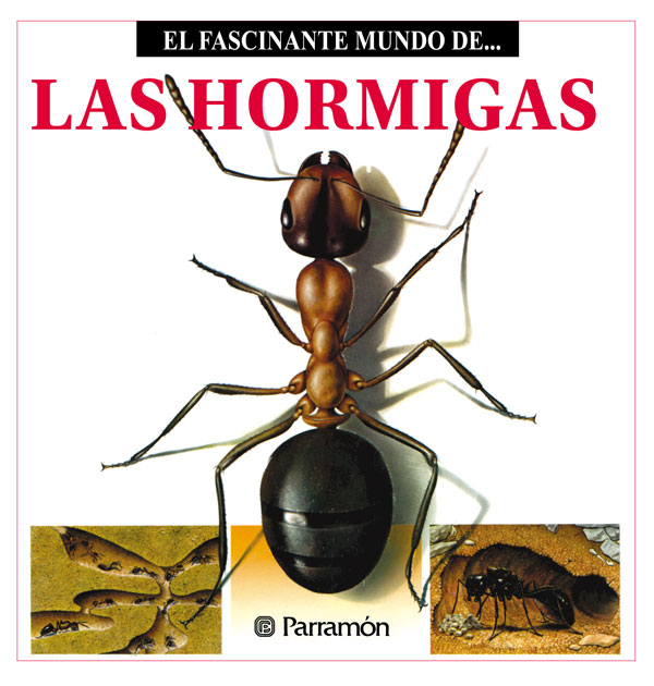 Обложка книги «Las Hormigas»
