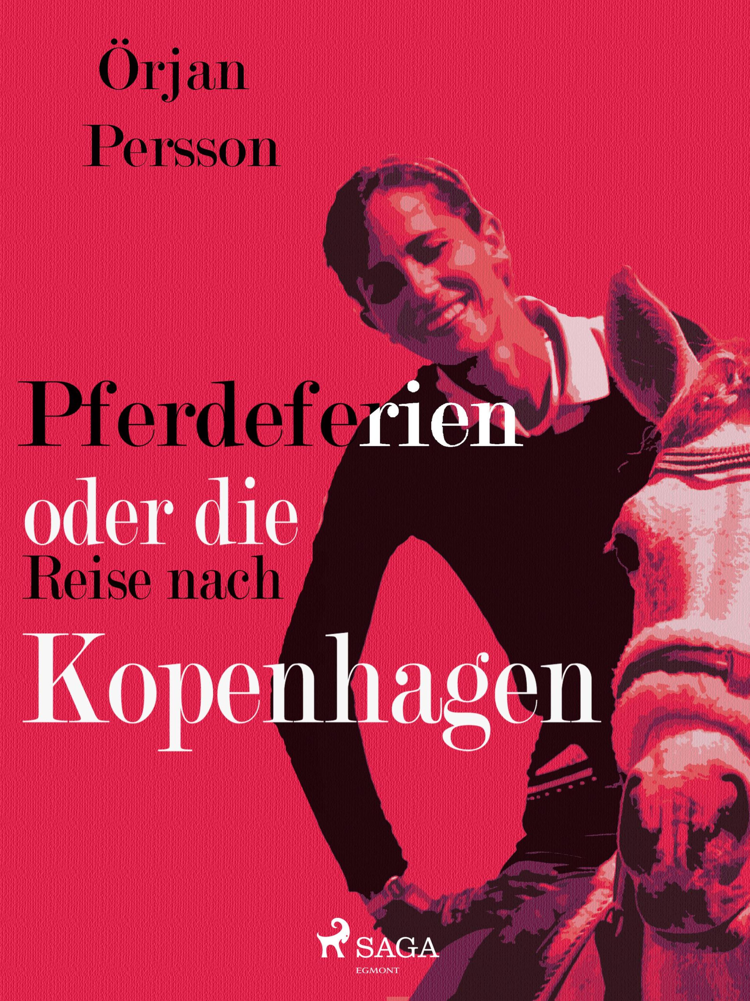 Обложка книги «Pferdeferien oder die Reise nach Kopenhagen»