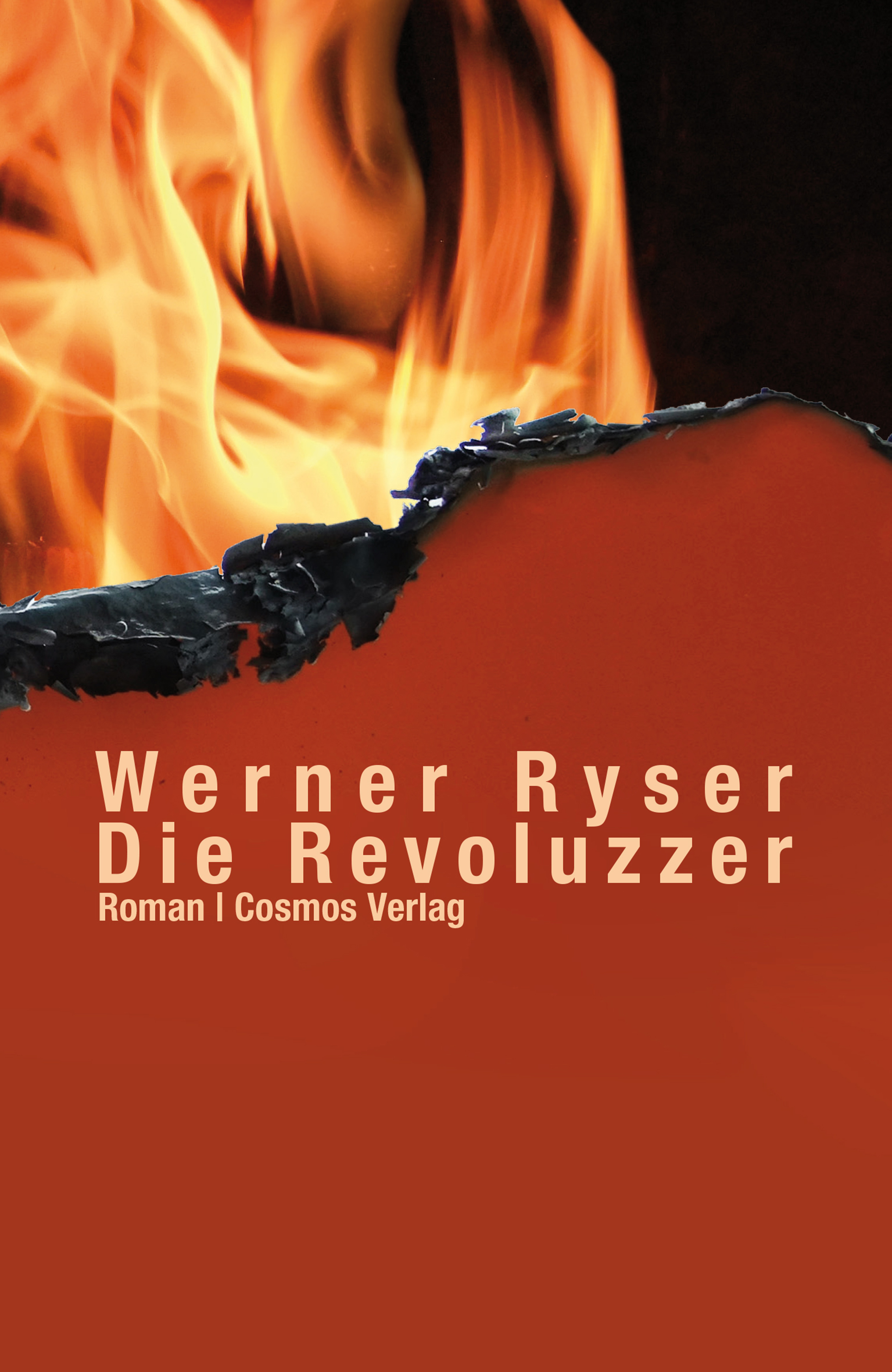 Обложка книги «Die Revoluzzer»