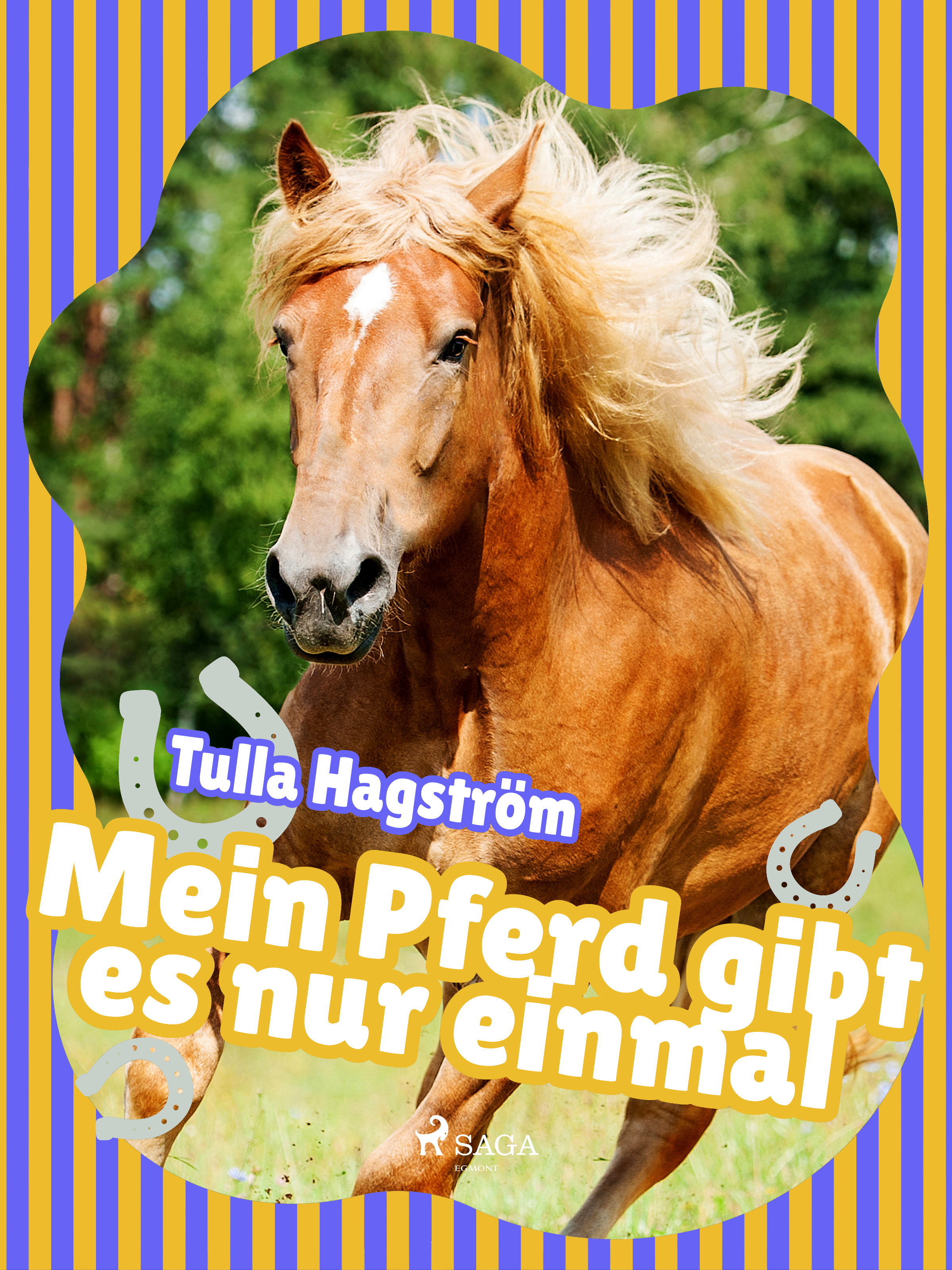 Обложка книги «Mein Pferd gibt es nur einmal»