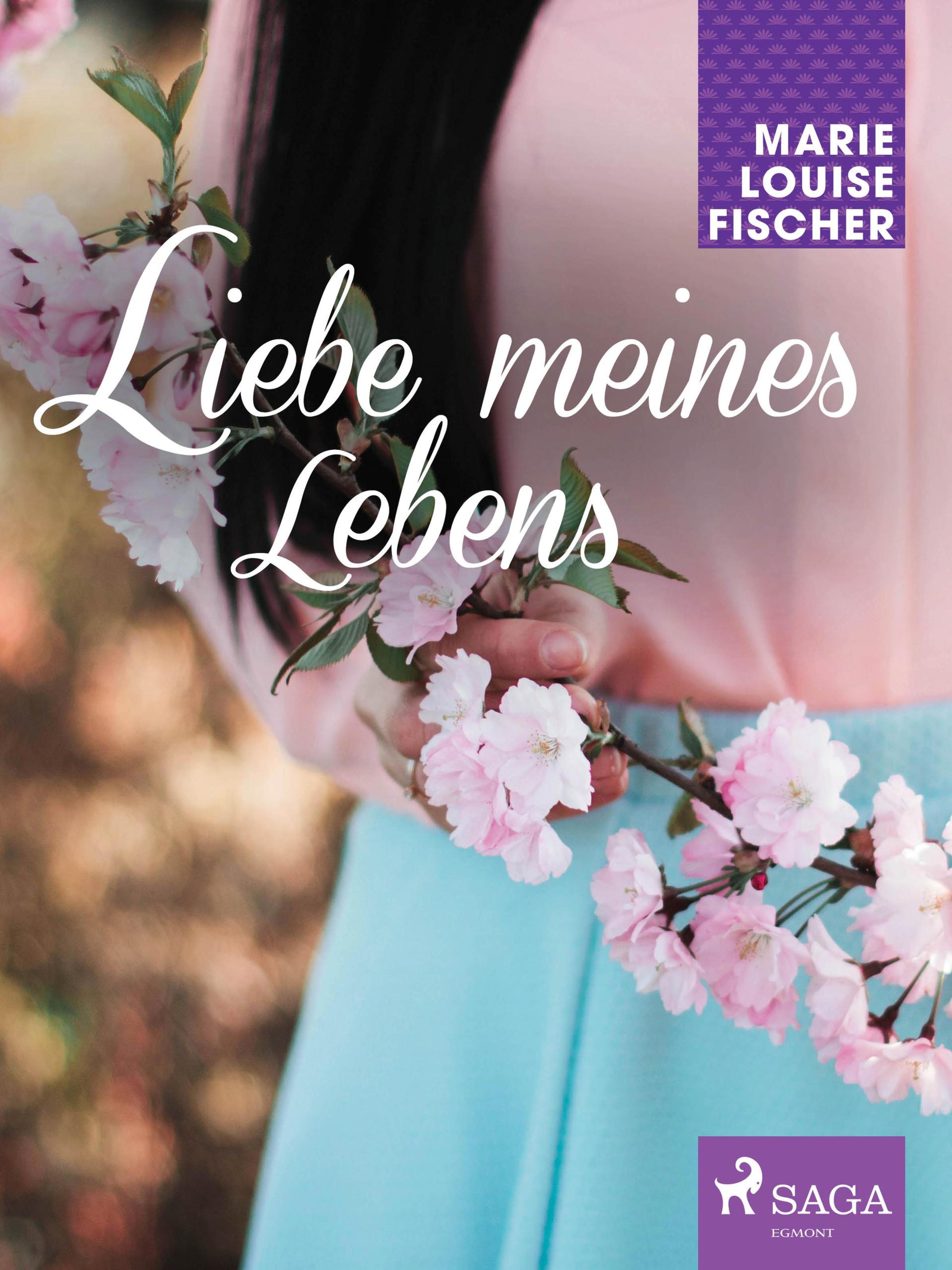 Обложка книги «Liebe meines Lebens»