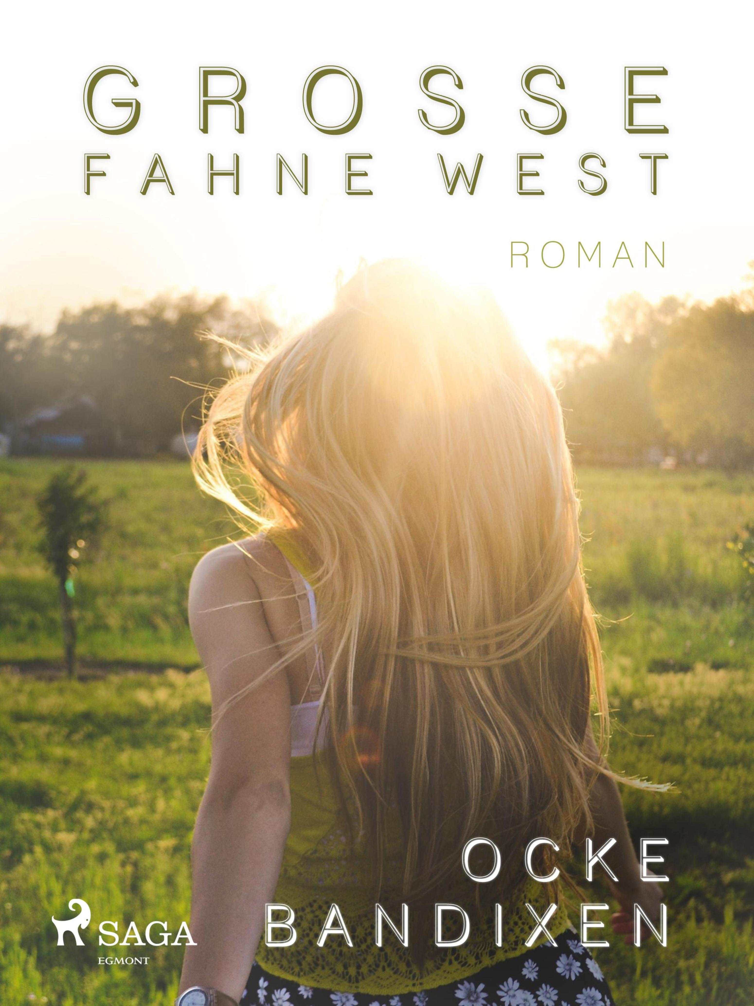Обложка книги «Grosse Fahne West»