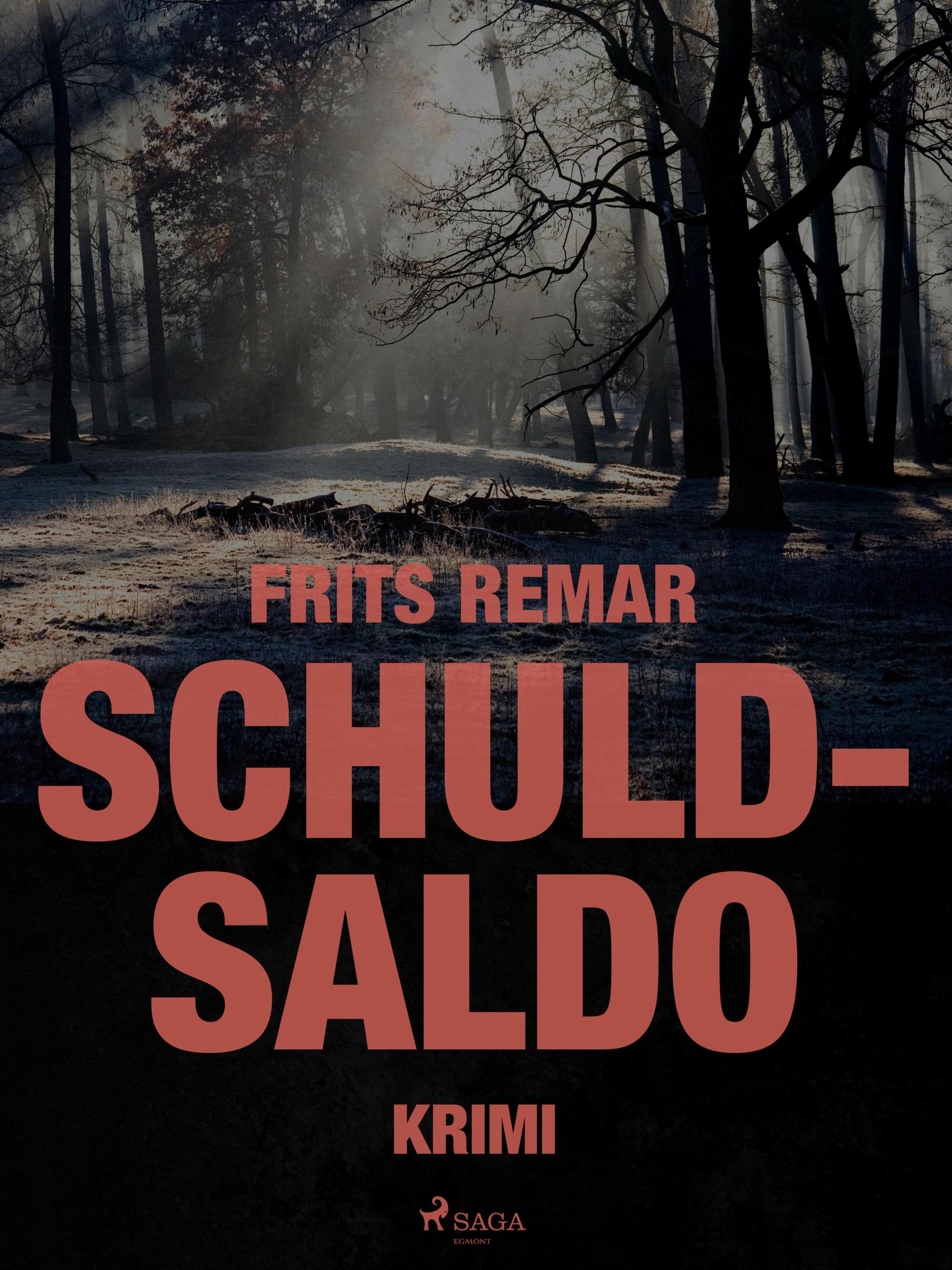 Обложка книги «Schuldsaldo»