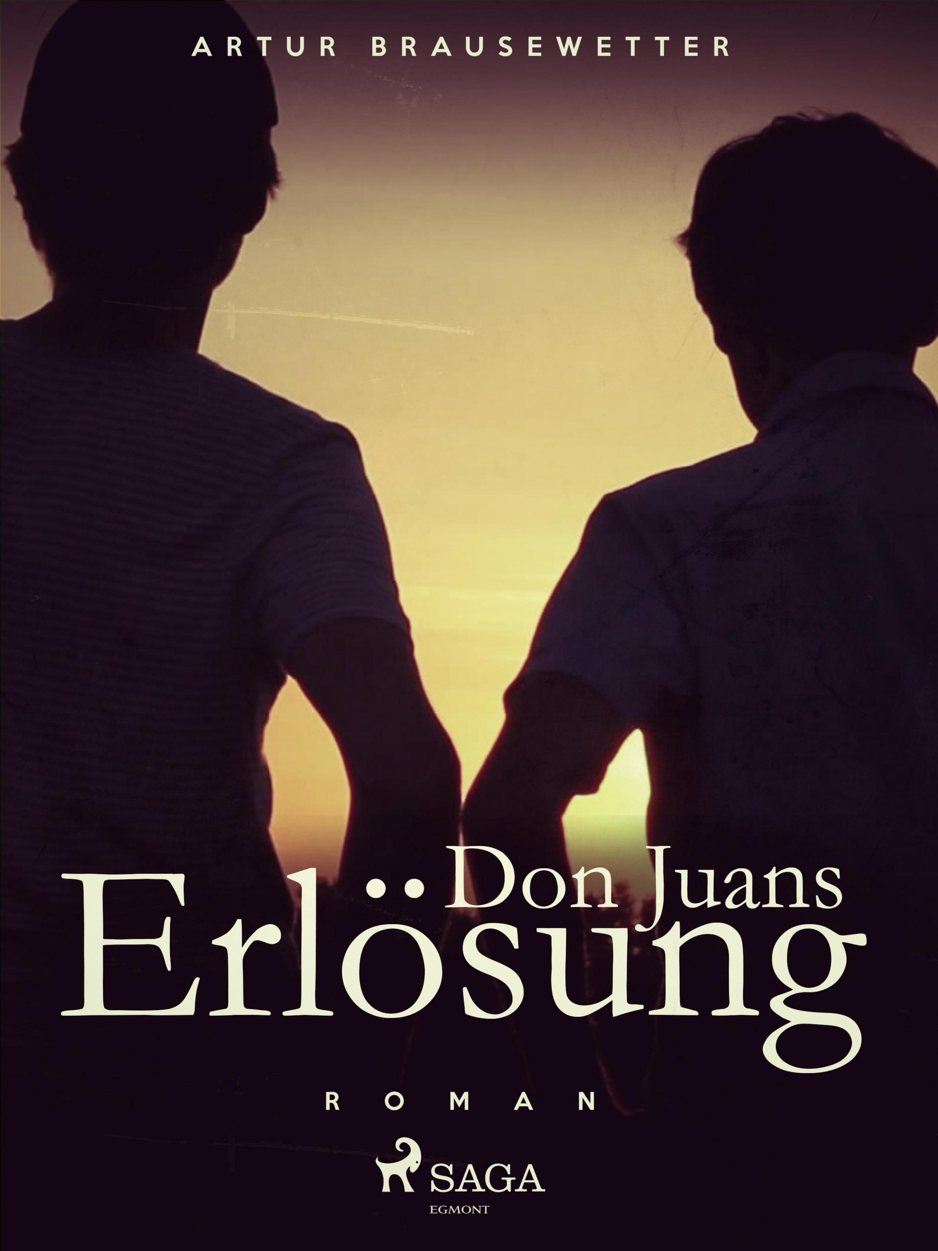 Обложка книги «Don Juans Erlösung»