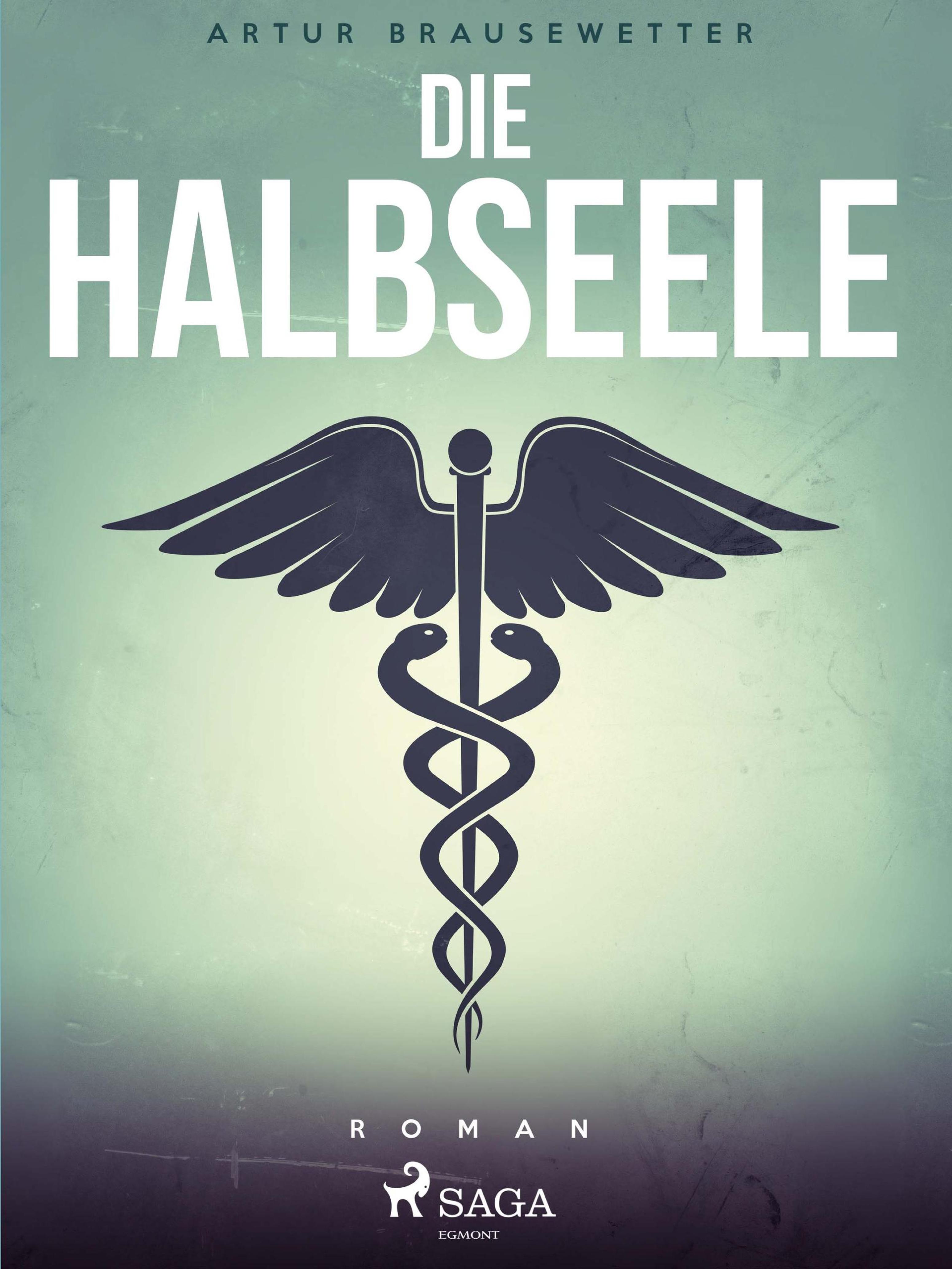 Обложка книги «Die Halbseele»