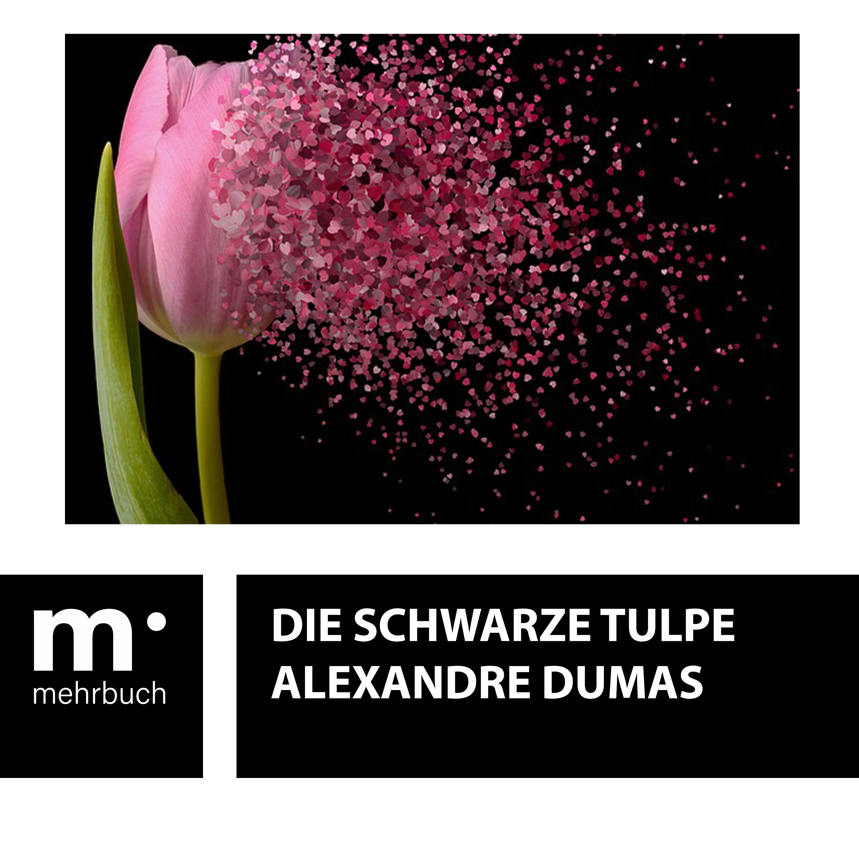 Обложка книги «Die schwarze Tulpe»