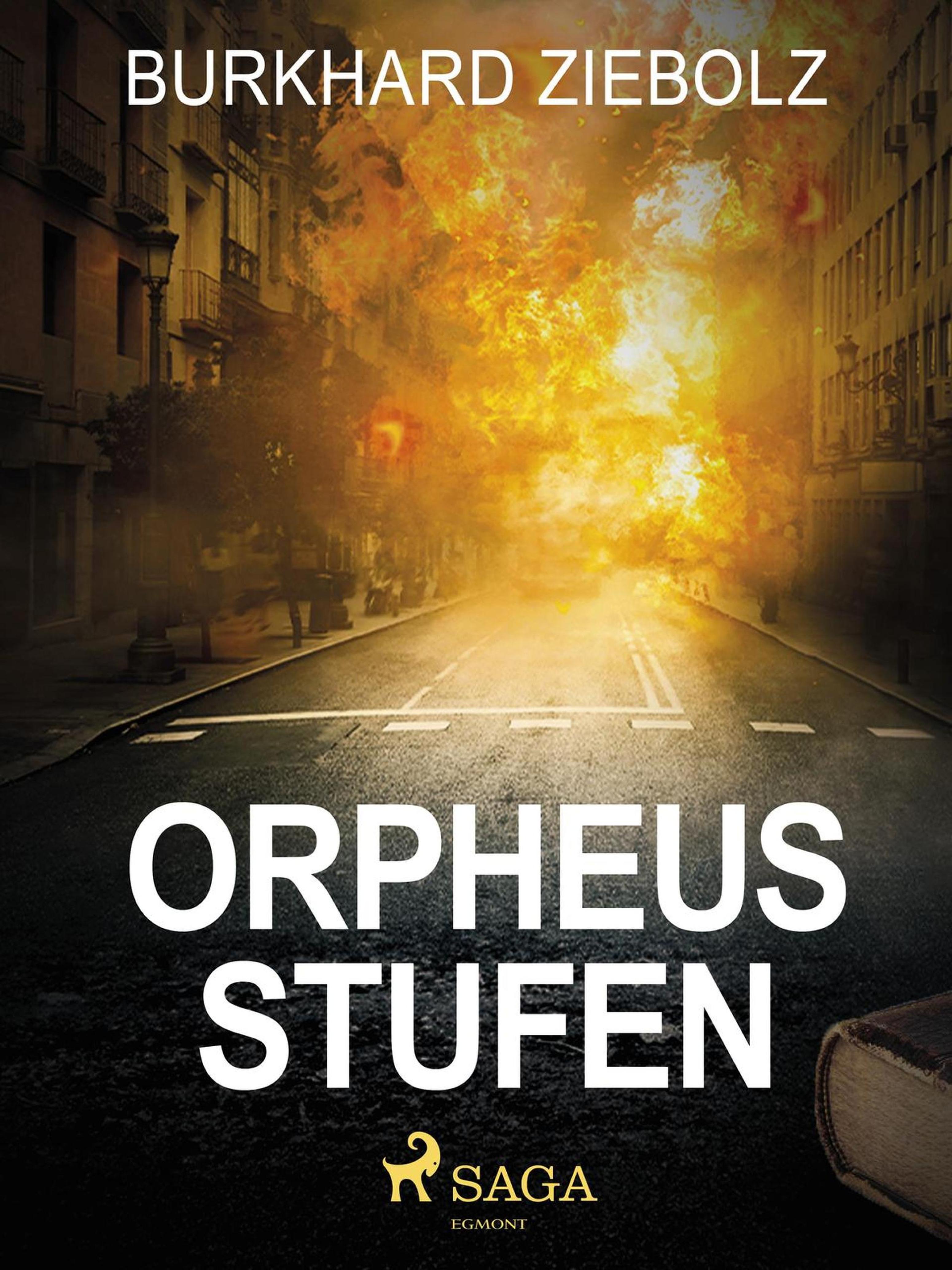 Обложка книги «Orpheus Stufen - Kriminalroman»