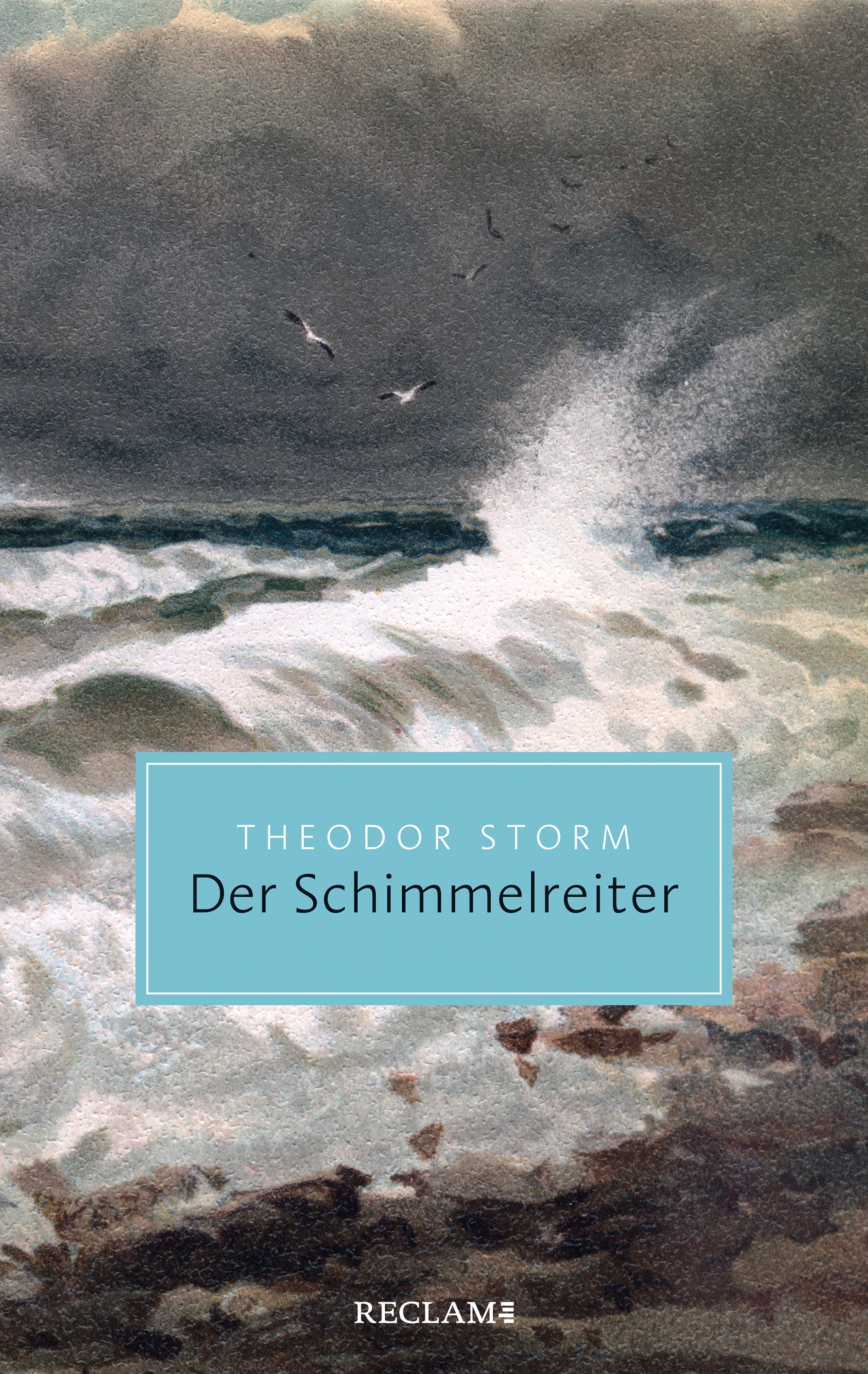 Обложка книги «Der Schimmelreiter. Novelle»