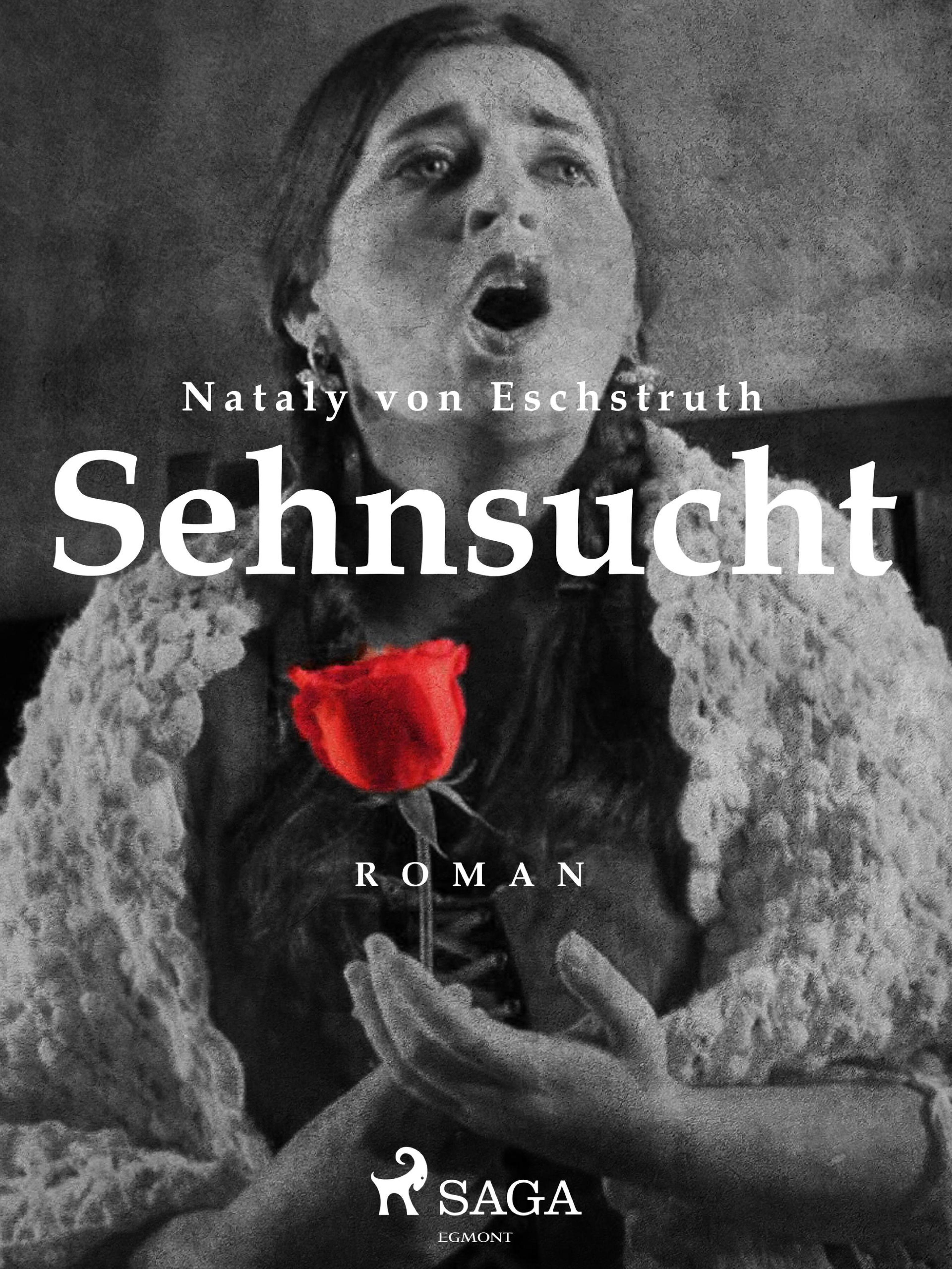 Обложка книги «Sehnsucht»