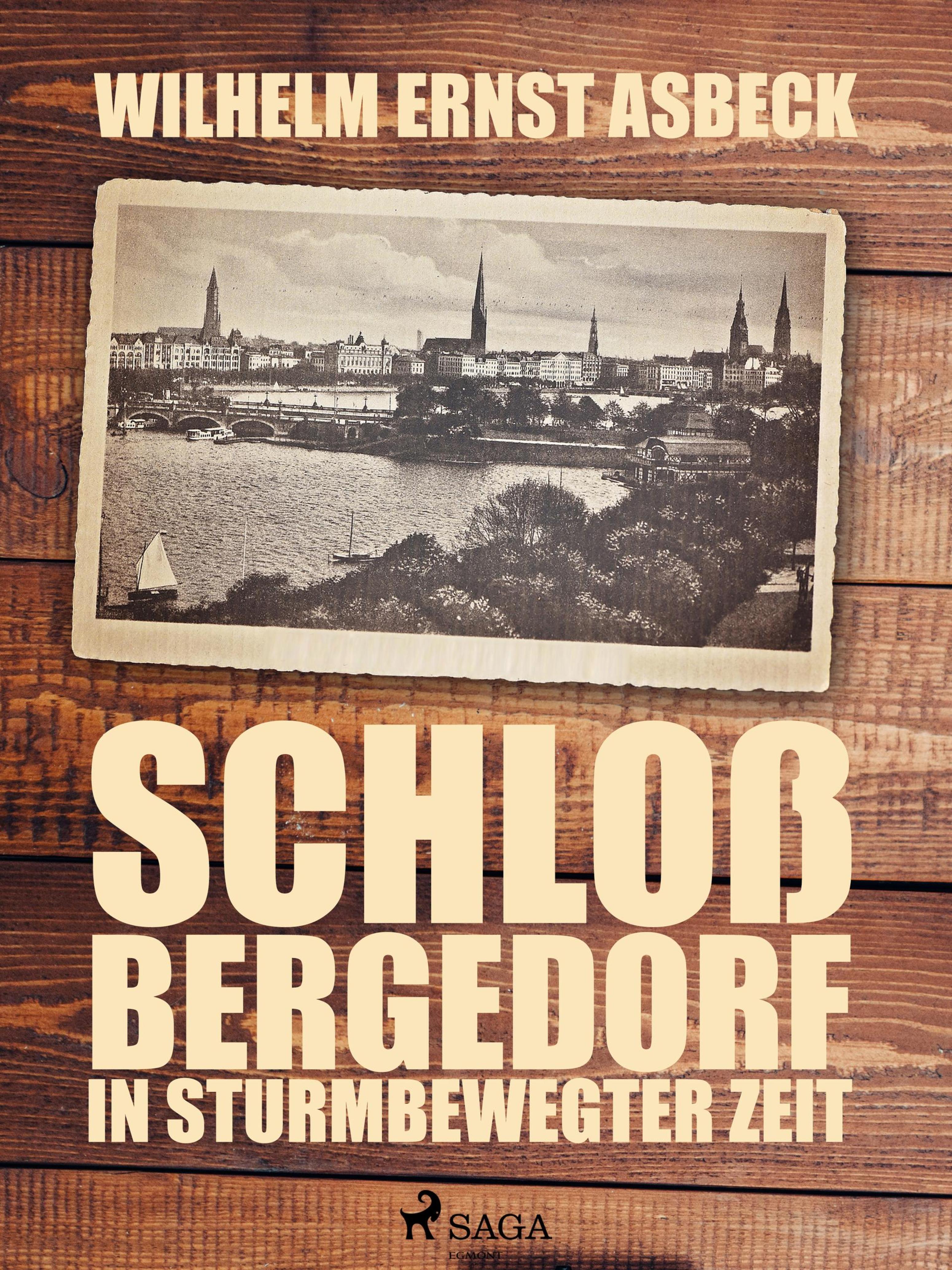 Обложка книги «Schloss Bergedorf in sturmbewegter Zeit»