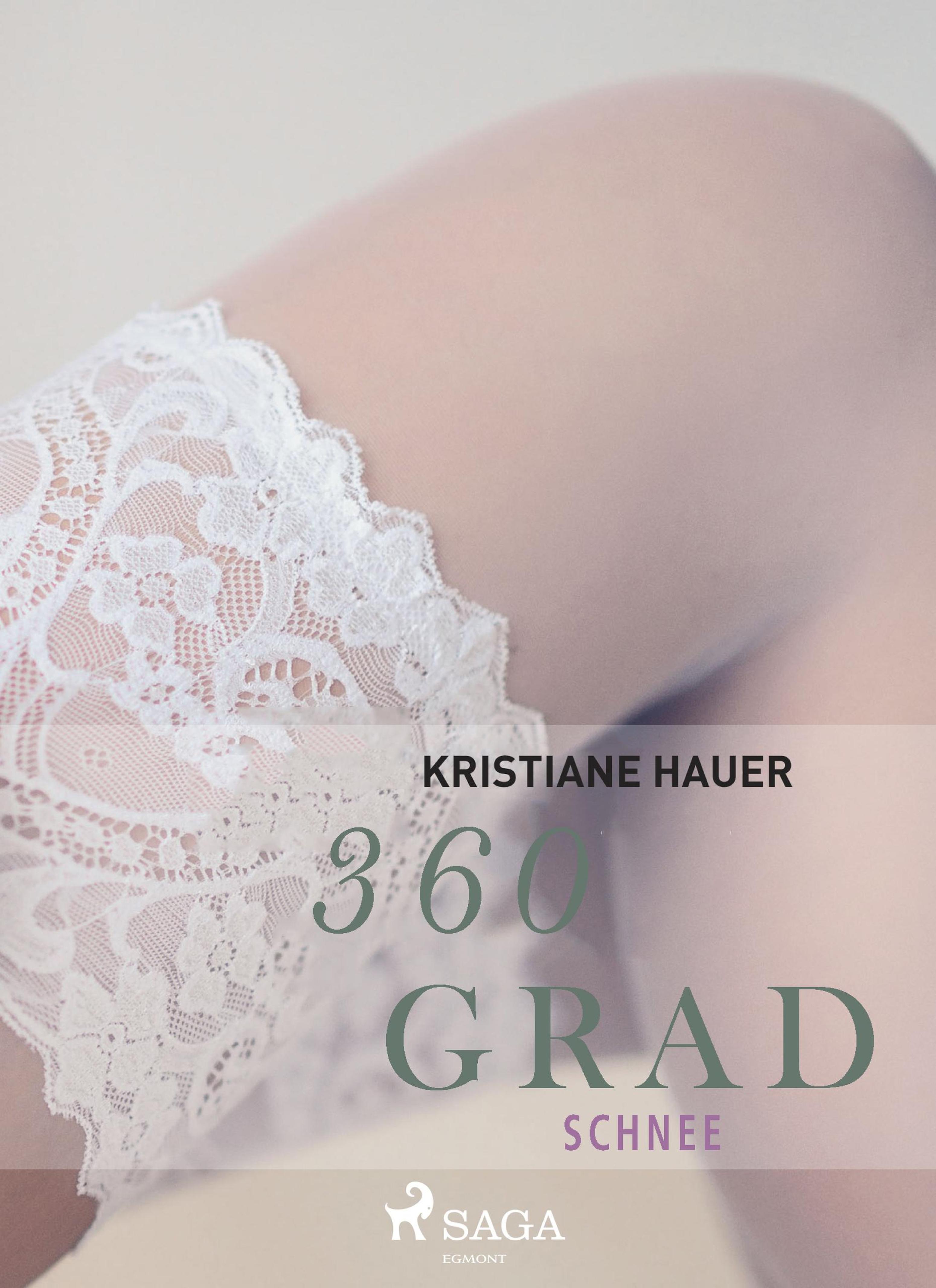 Обложка книги «360 Grad - Schnee (Erotische Geschichten, Band 2)»