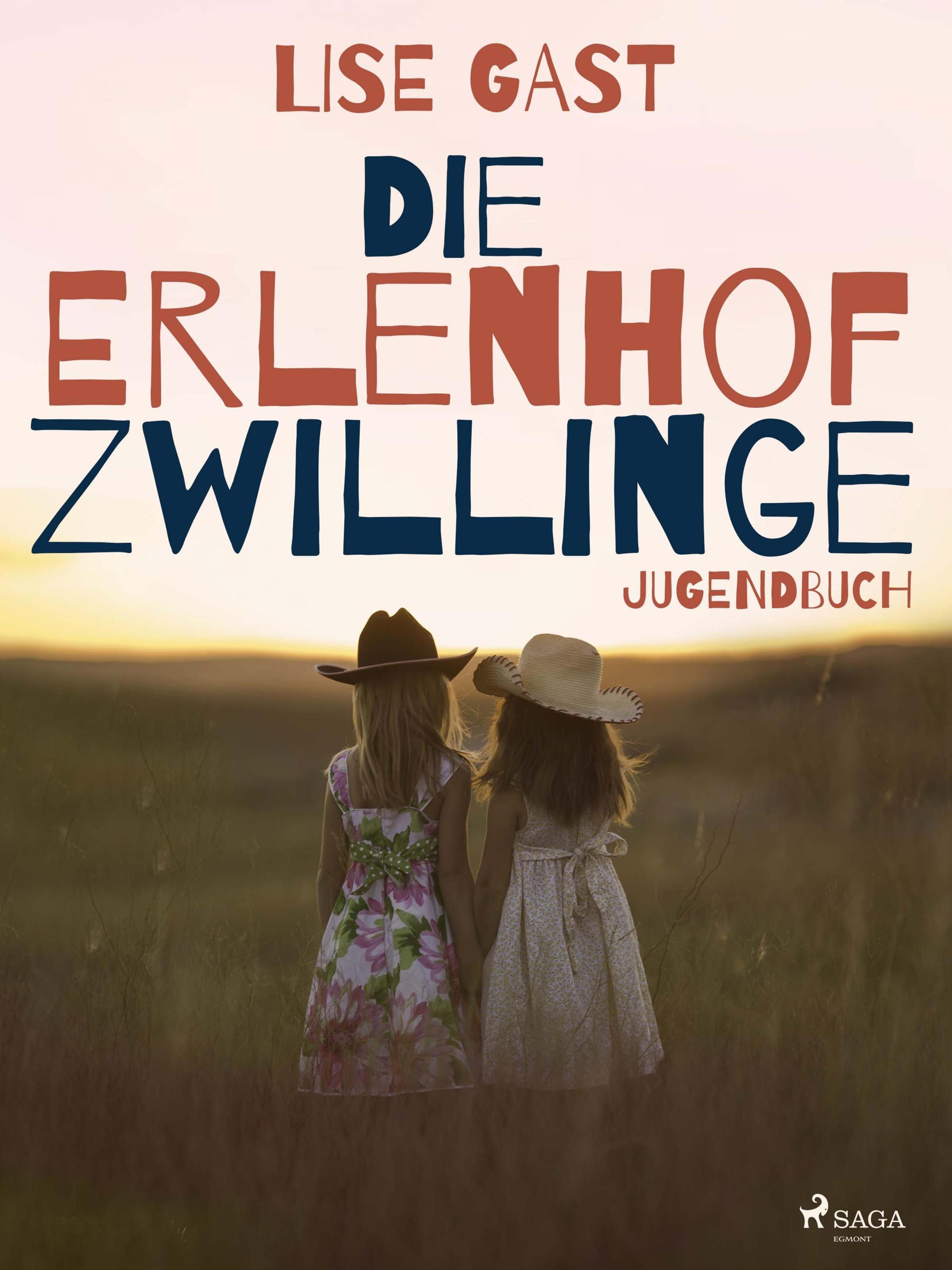 Обложка книги «Die Erlenhofzwillinge»