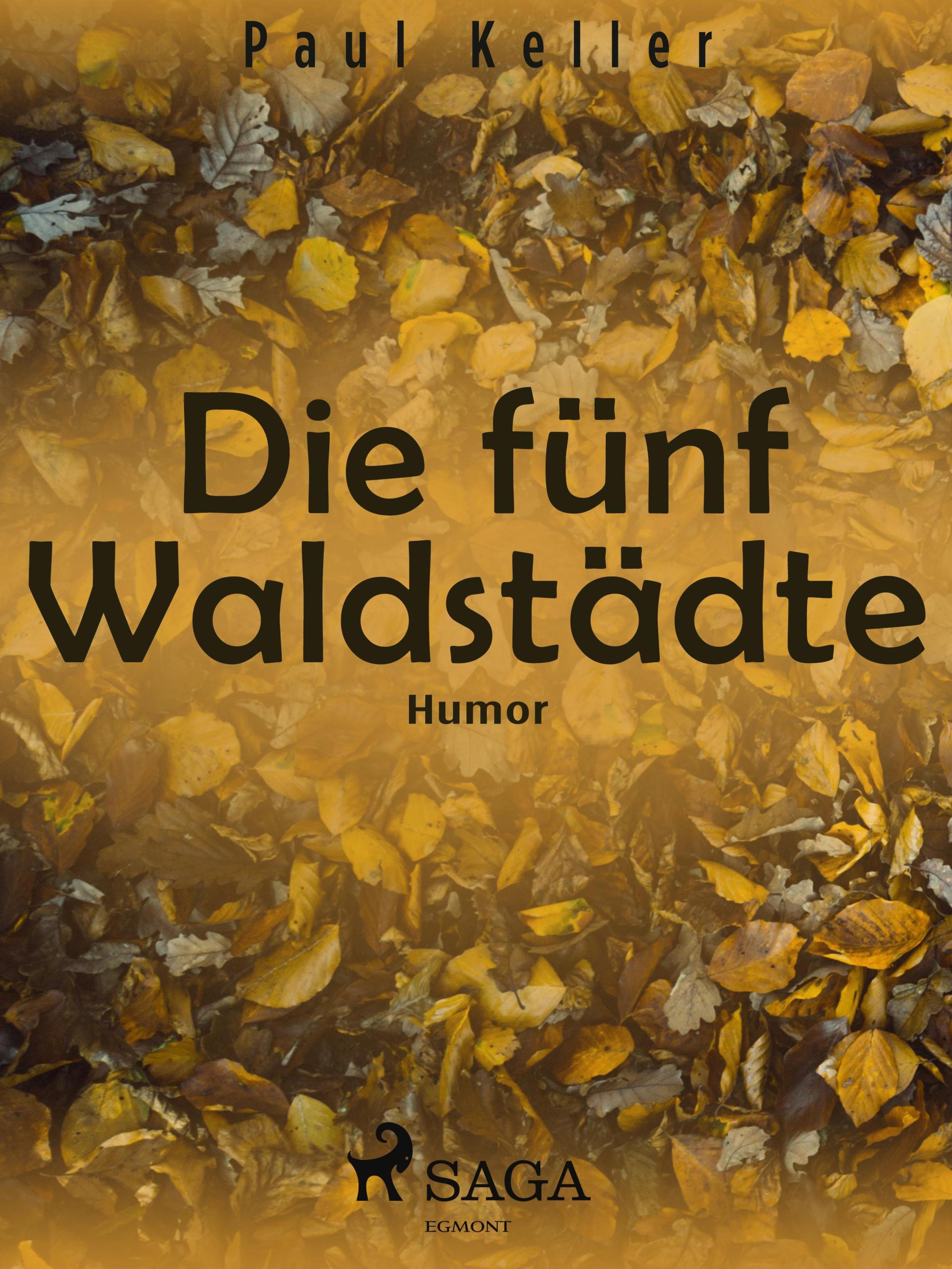 Обложка книги «Die fünf Waldstädte»