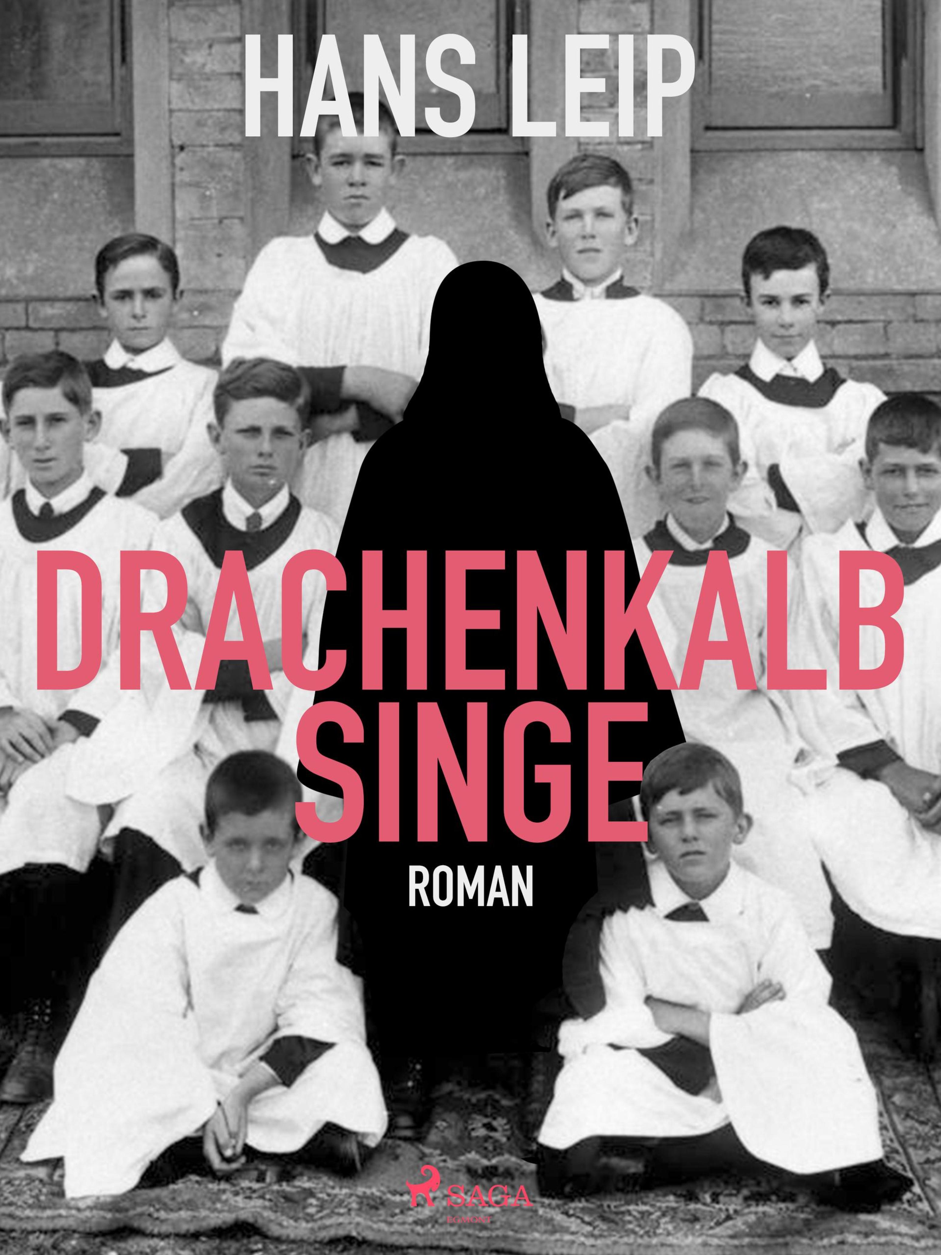 Обложка книги «Drachenkalb singe»