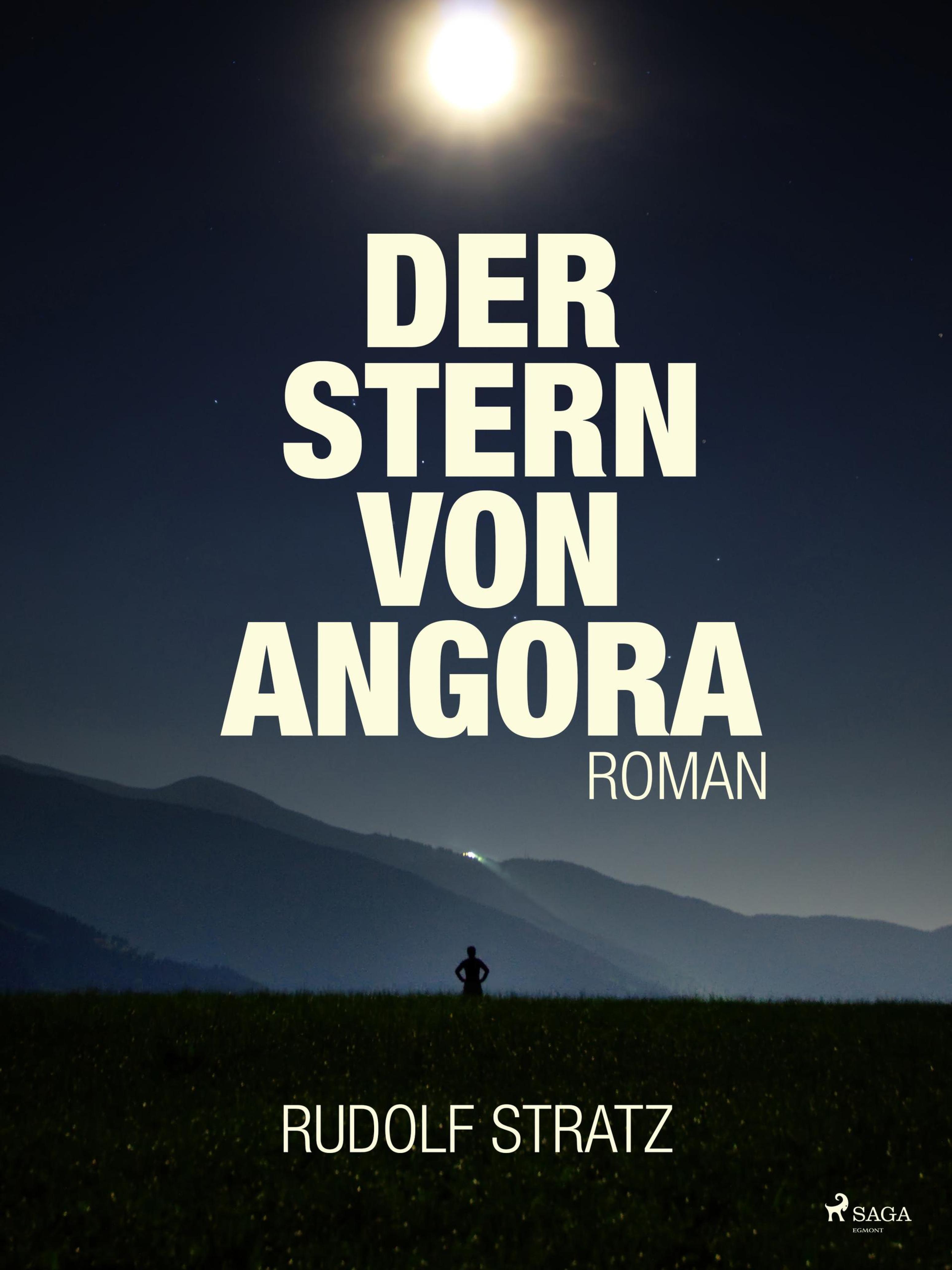 Обложка книги «Der Stern von Angora»