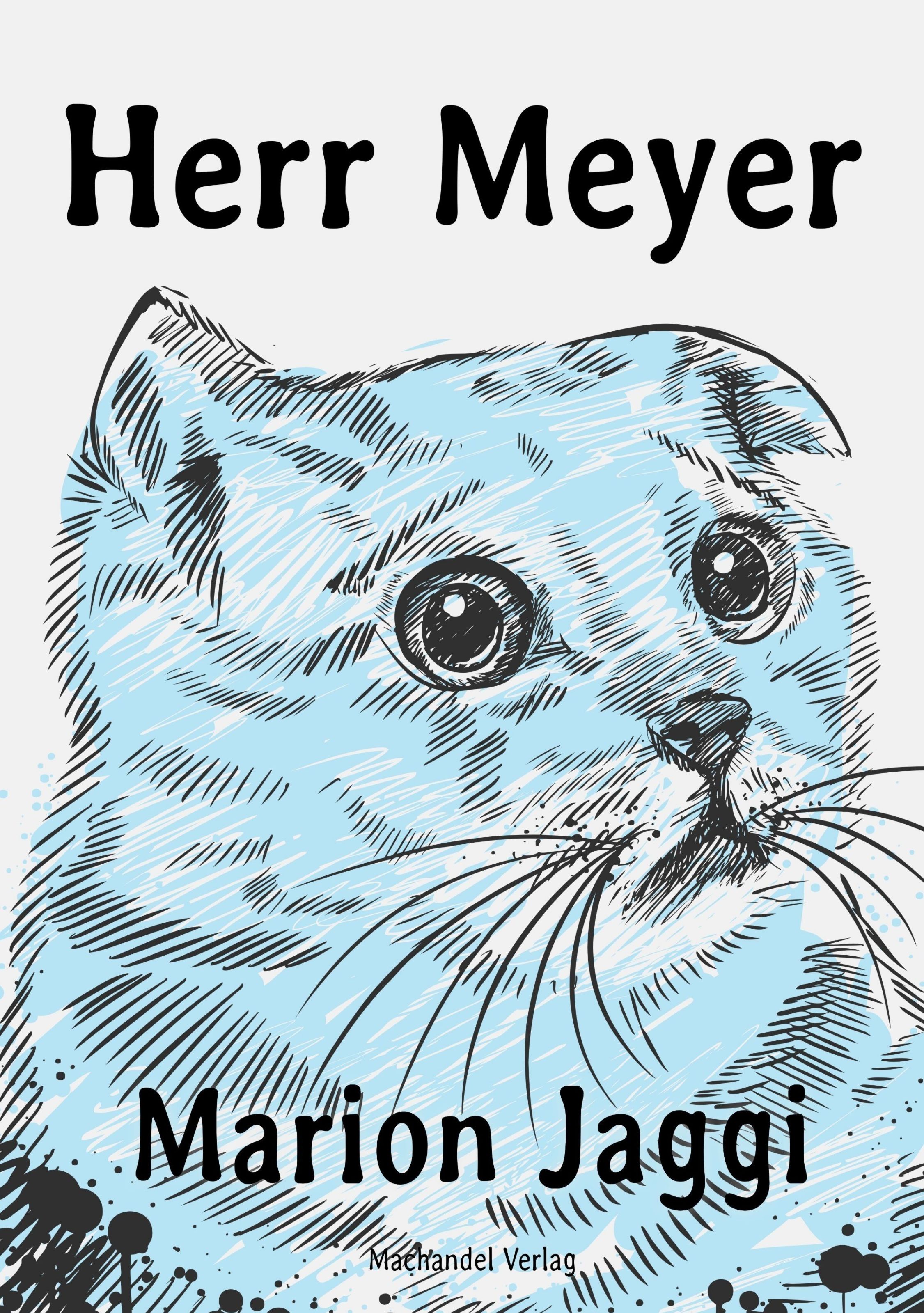 Обложка книги «Herr Meyer»
