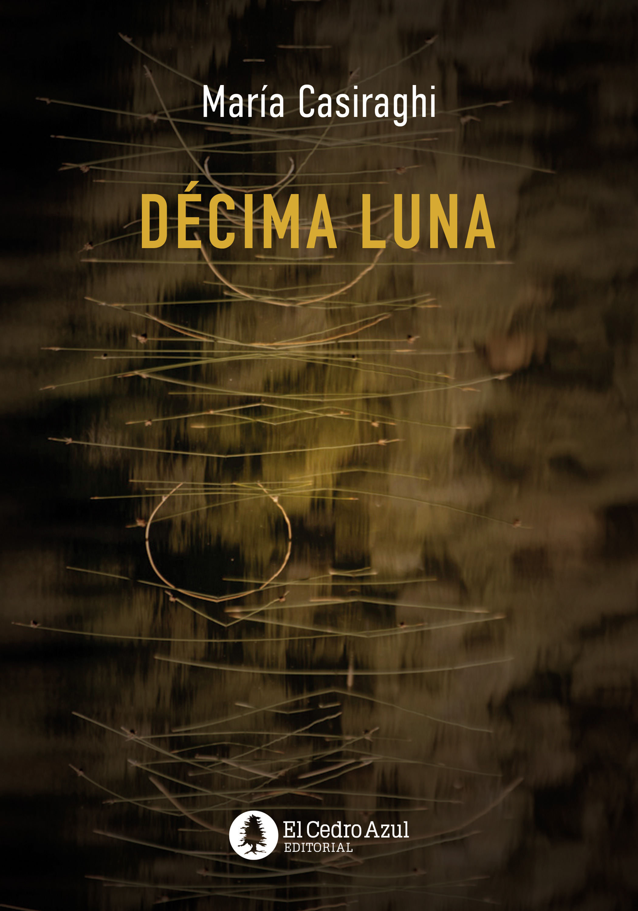 Обложка книги «Décima Luna»
