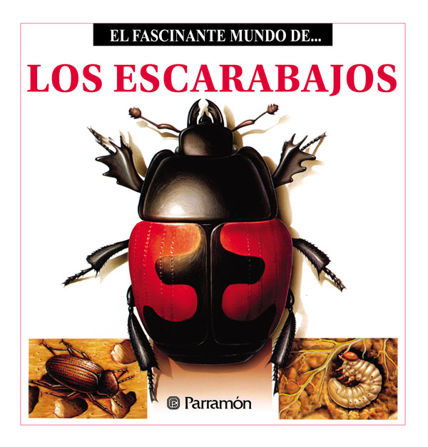 Обложка книги «Los Escarabajos»