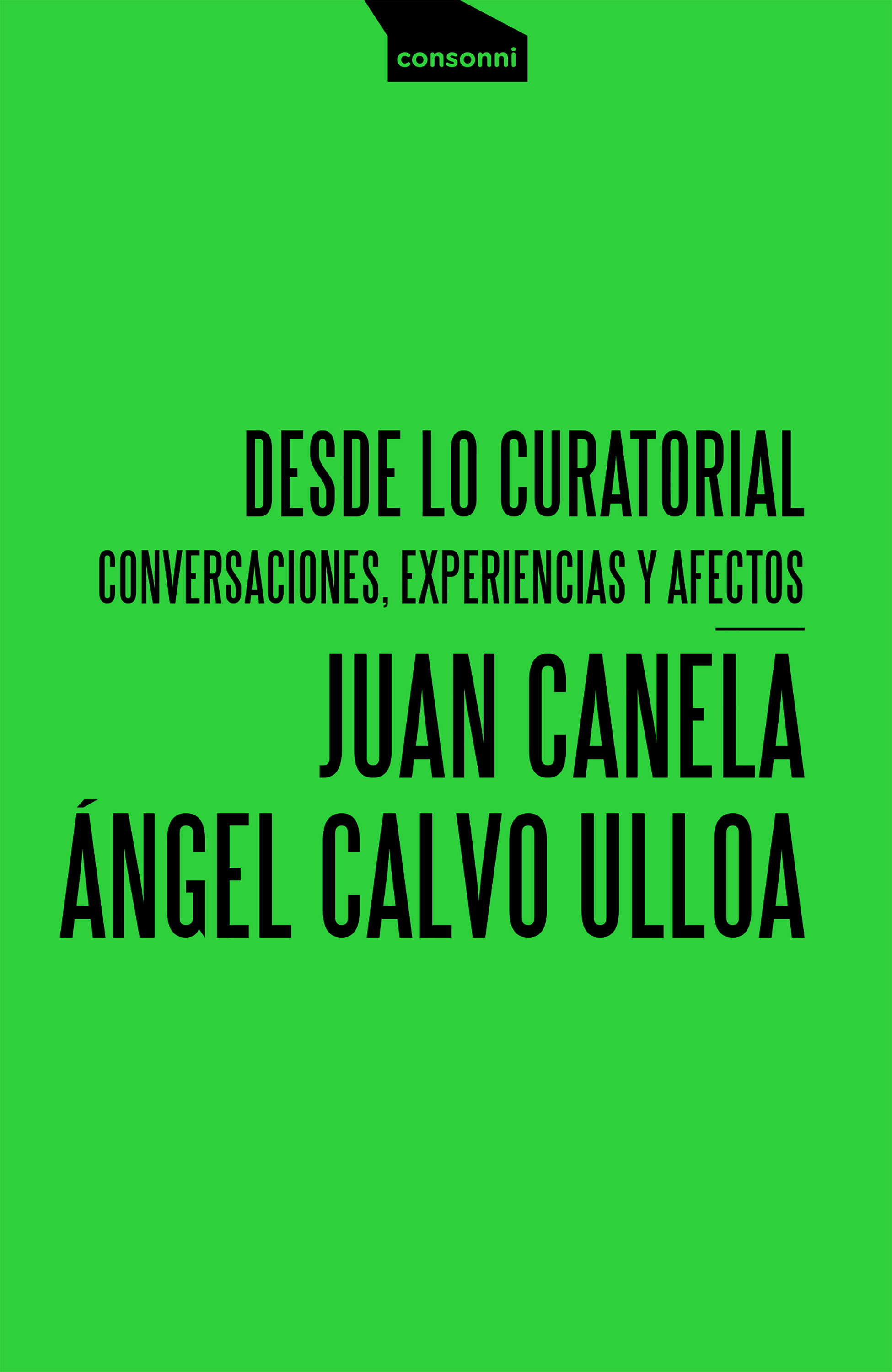 Обложка книги «Desde lo curatorial»