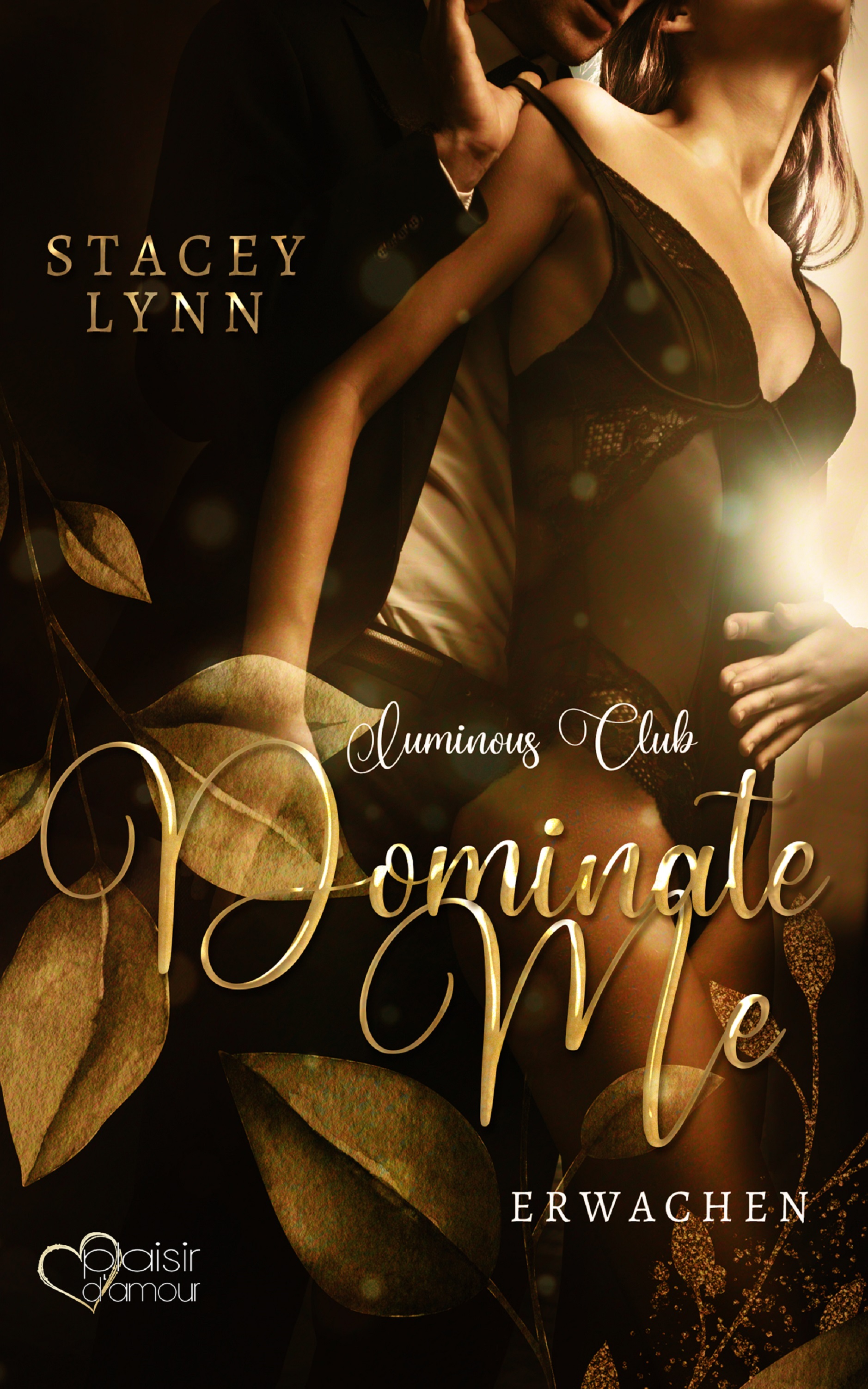 Обложка книги «Dominate Me: Erwachen»