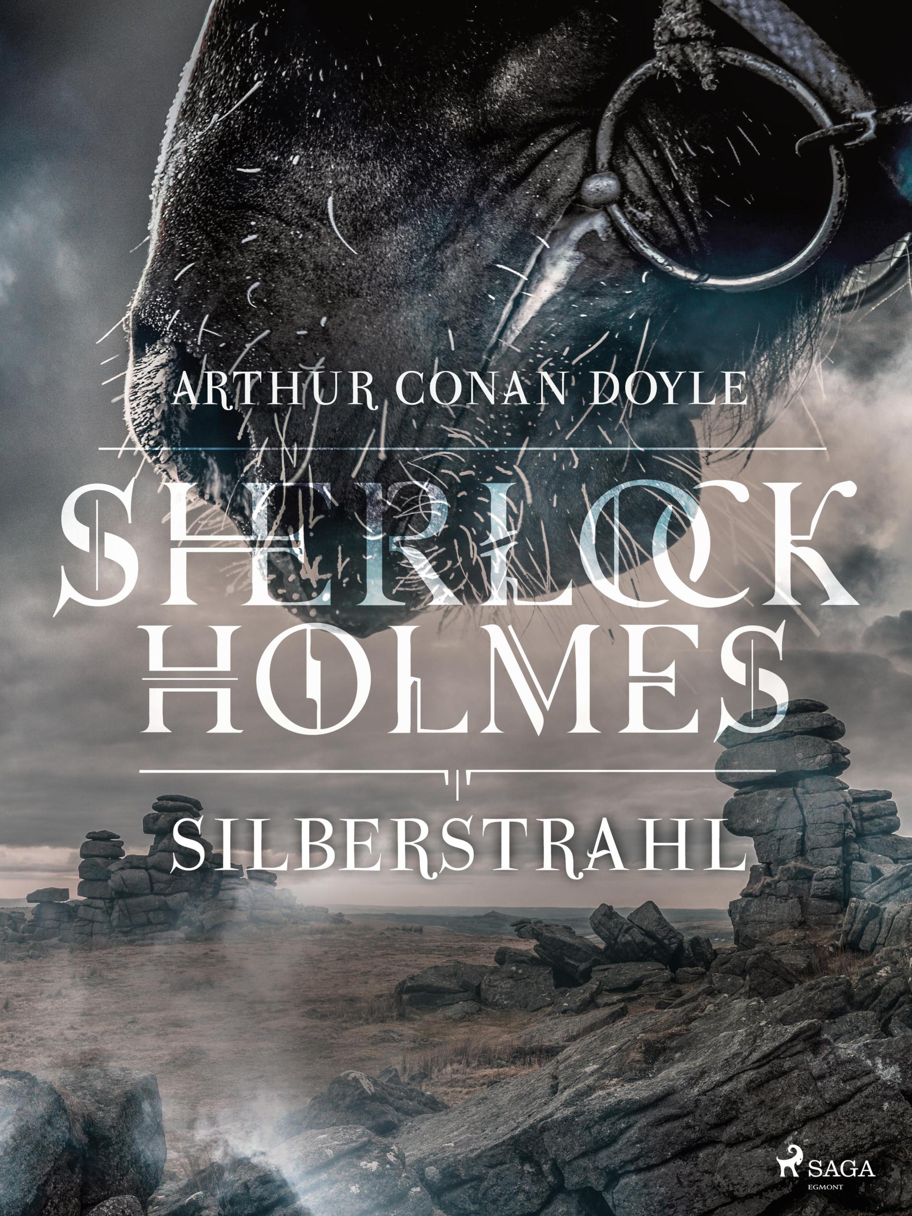 Обложка книги «Silberstrahl»