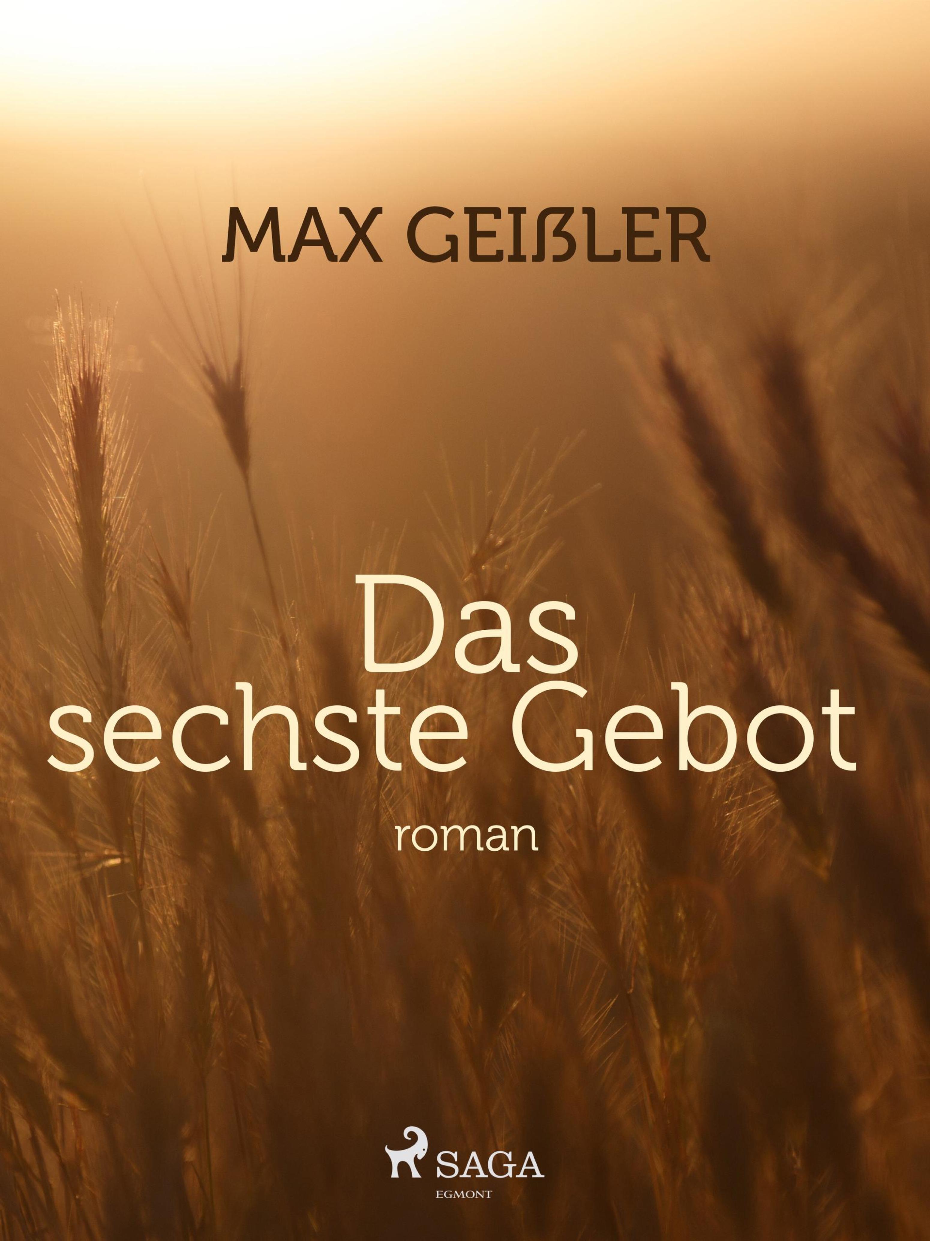 Обложка книги «Das sechste Gebot»