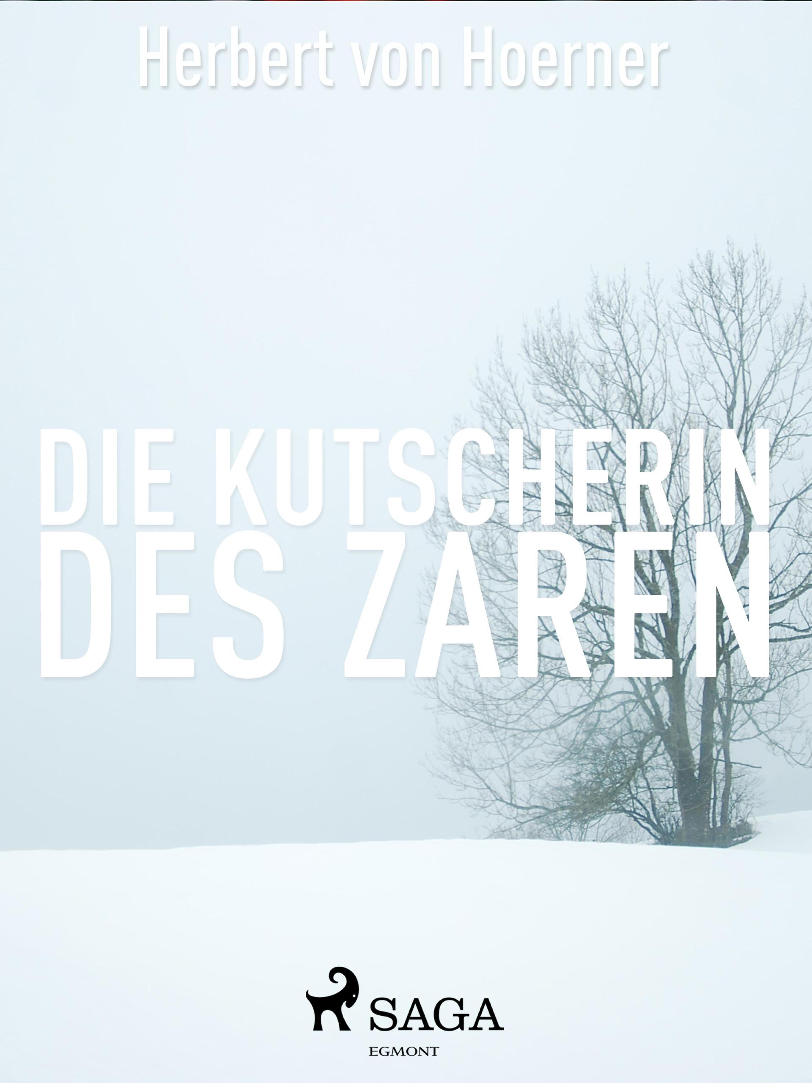 Обложка книги «Die Kutscherin des Zaren»