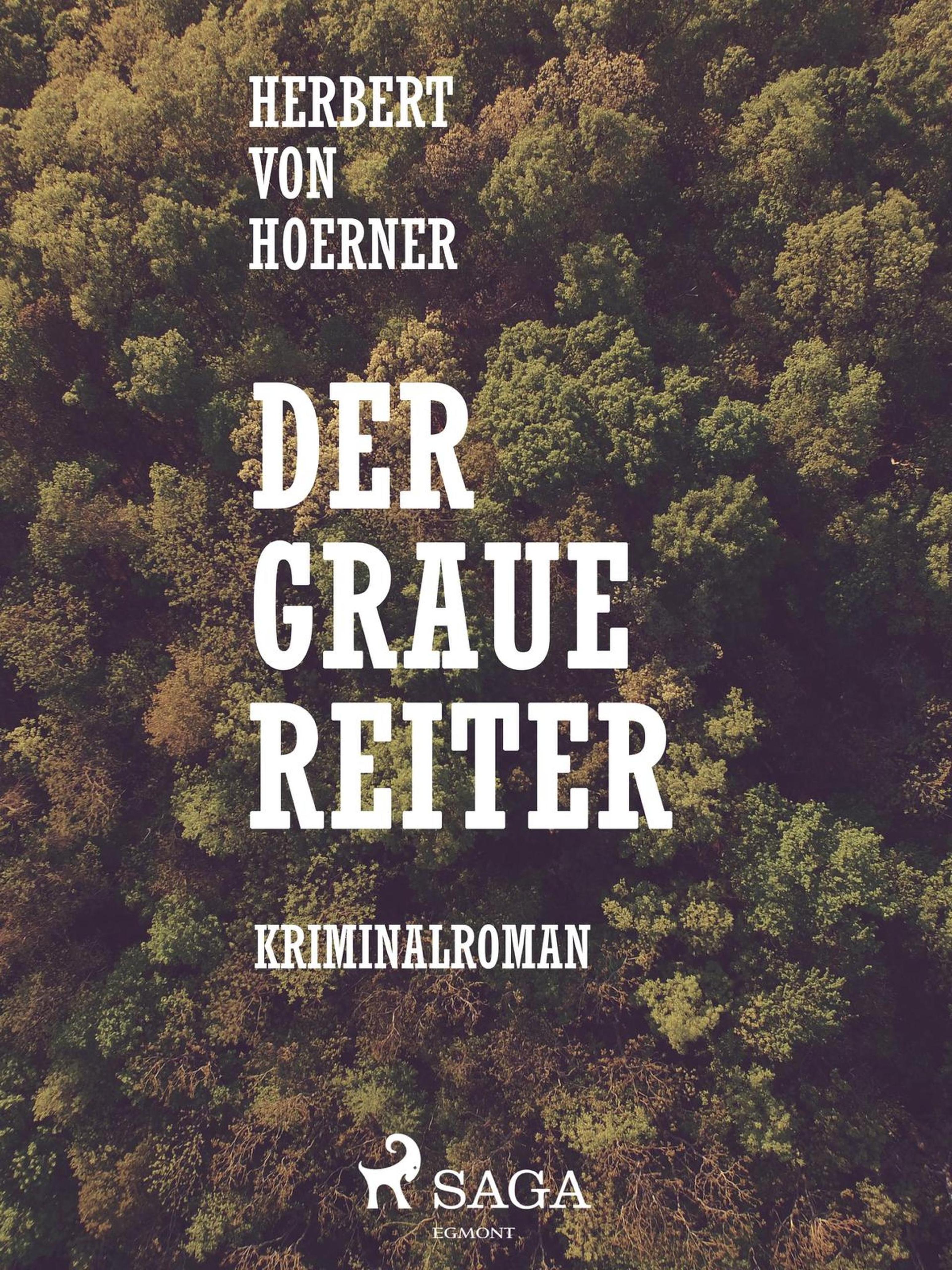 Обложка книги «Der graue Reiter»