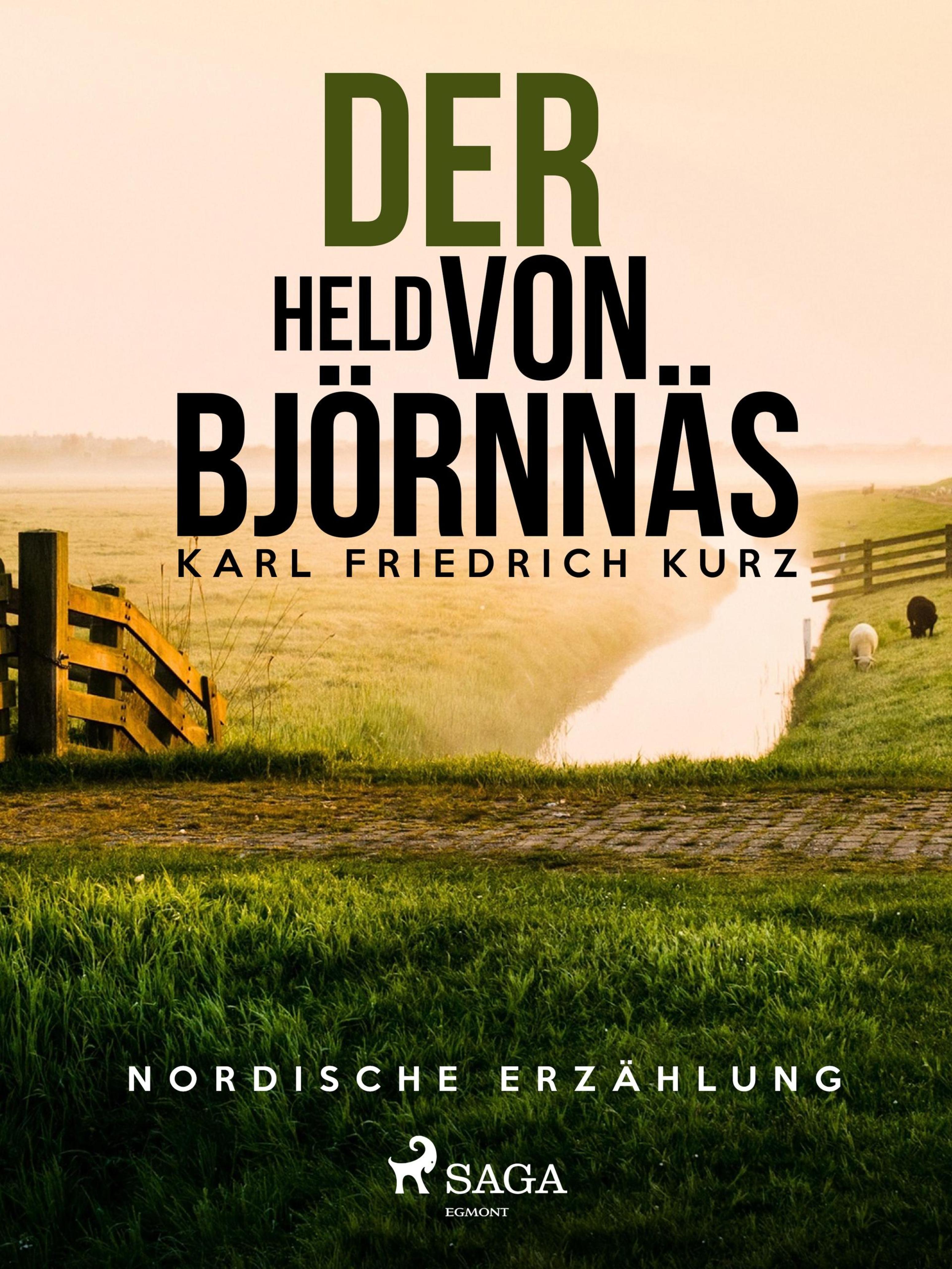 Обложка книги «Der Held von Björnnäs. Nordische Erzählung»