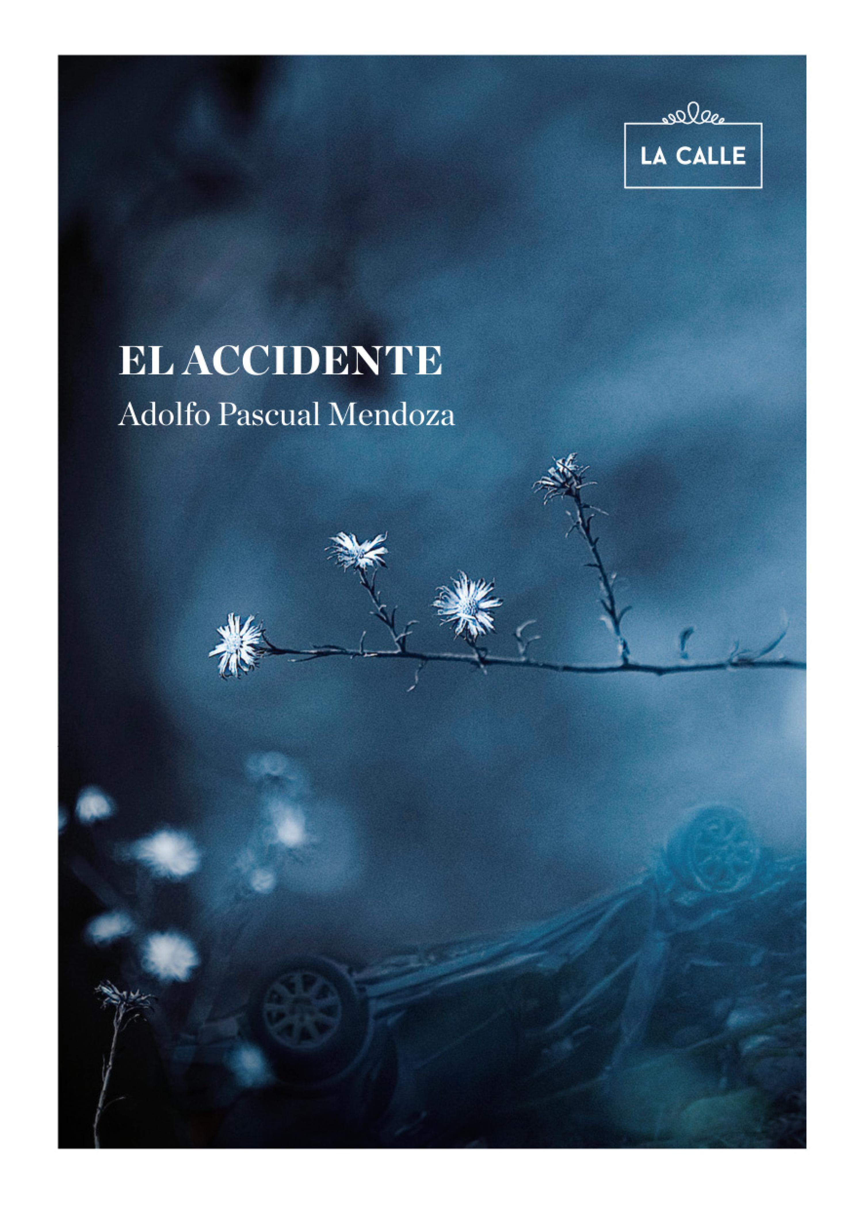 Обложка книги «El accidente»