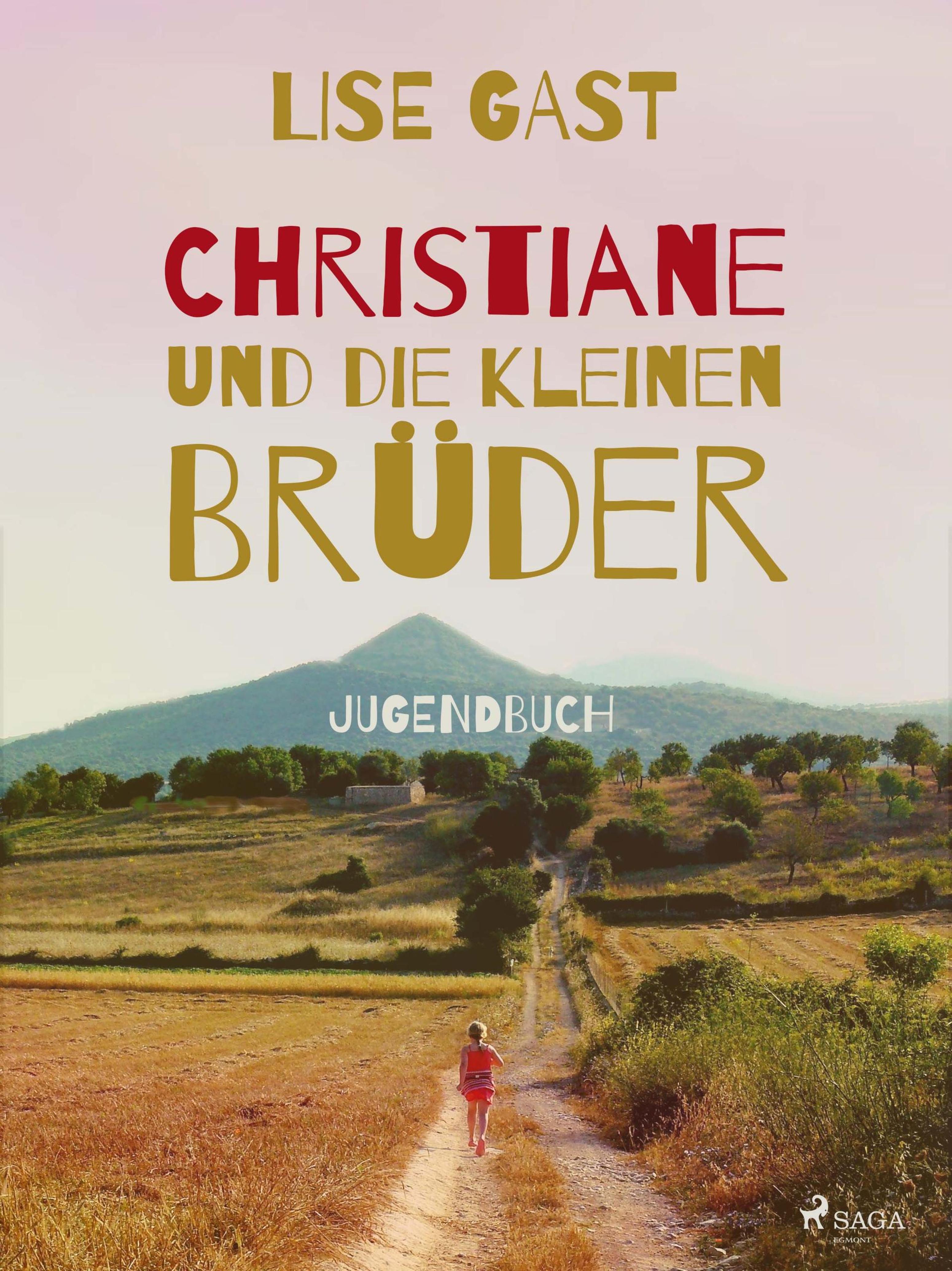 Обложка книги «Christiane und die kleinen Brüder»
