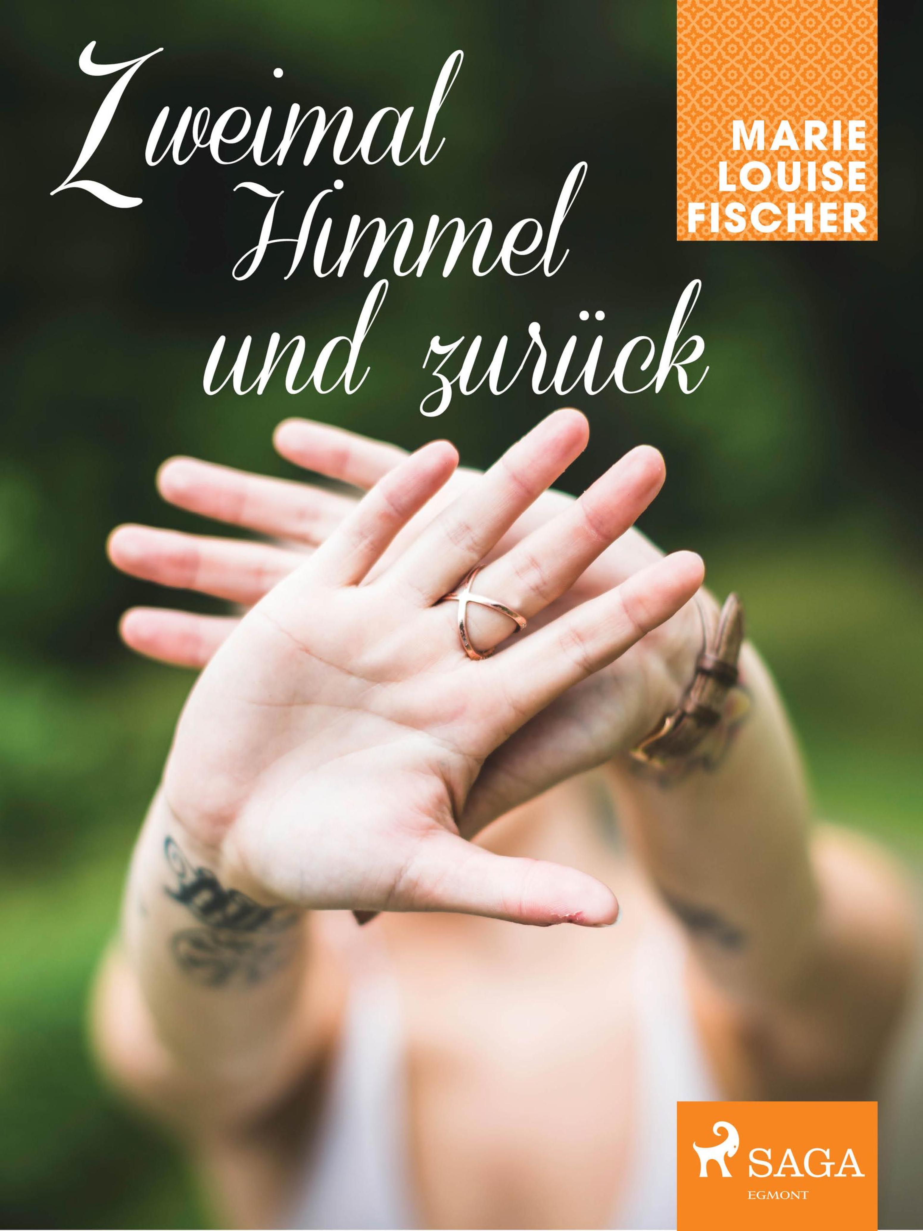 Обложка книги «Zweimal Himmel und zurück»