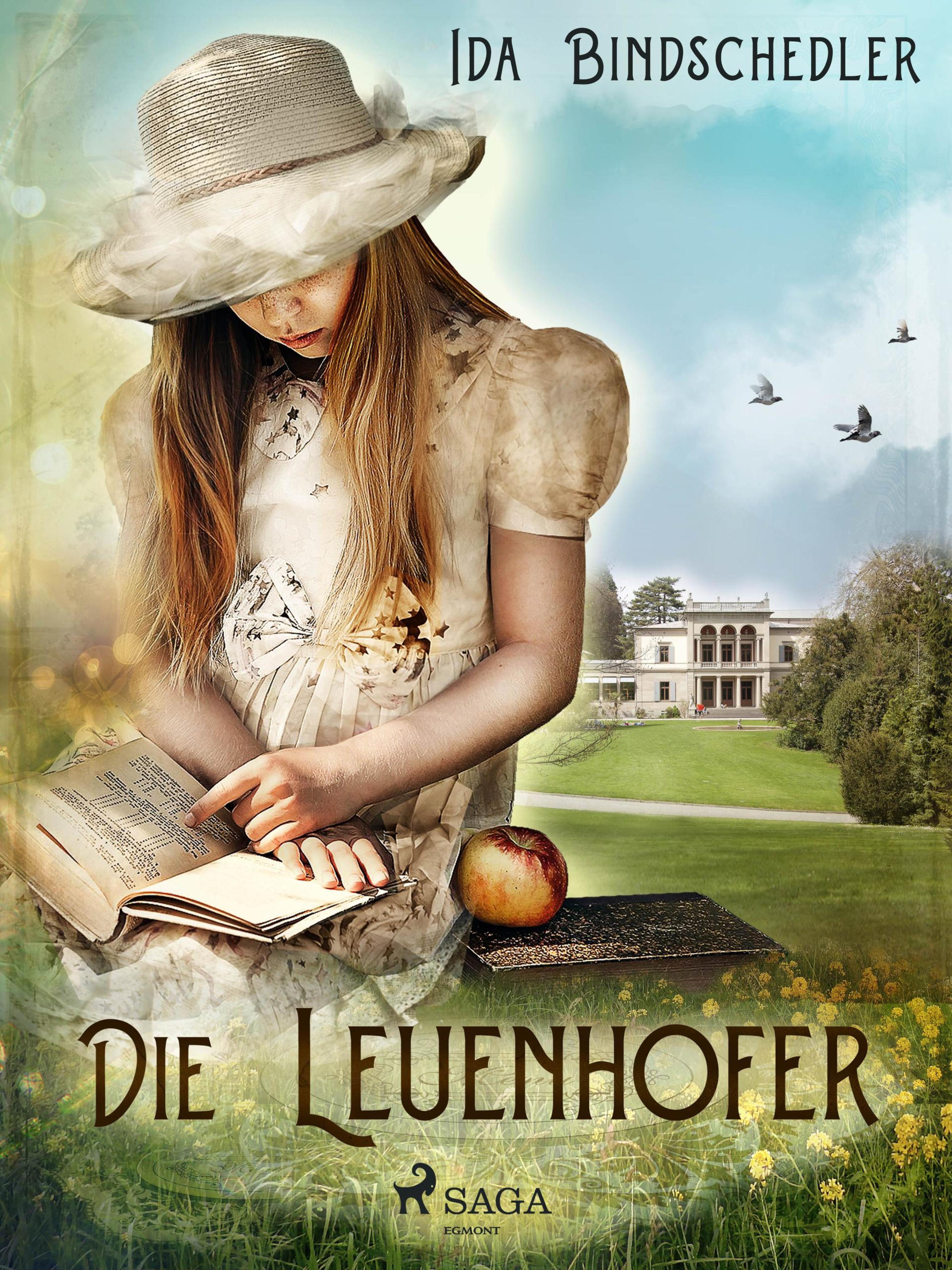 Обложка книги «Die Leuenhofer»