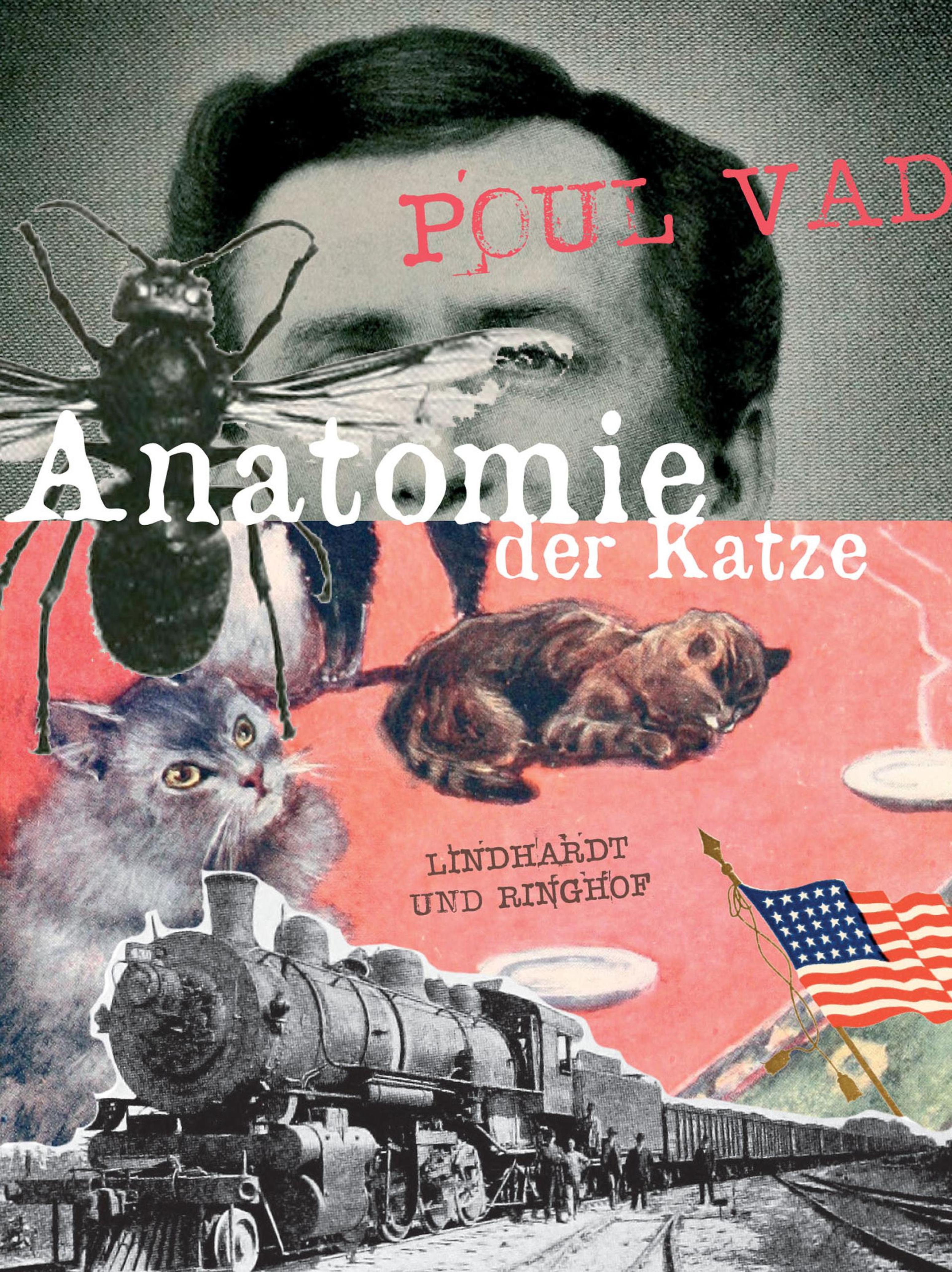 Обложка книги «Anatomie der Katze»