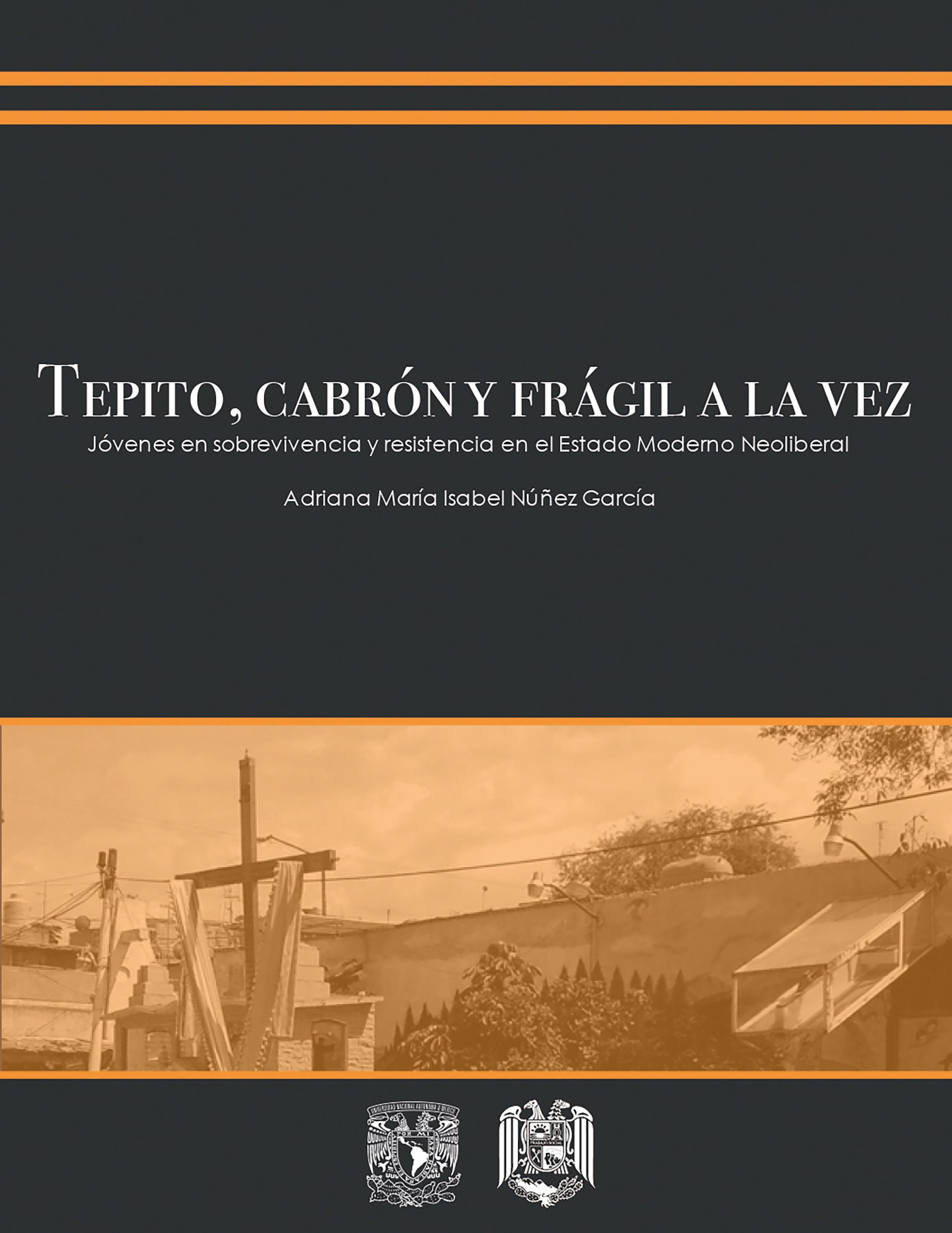 Обложка книги «Tepito, cabrón y frágil a la vez»