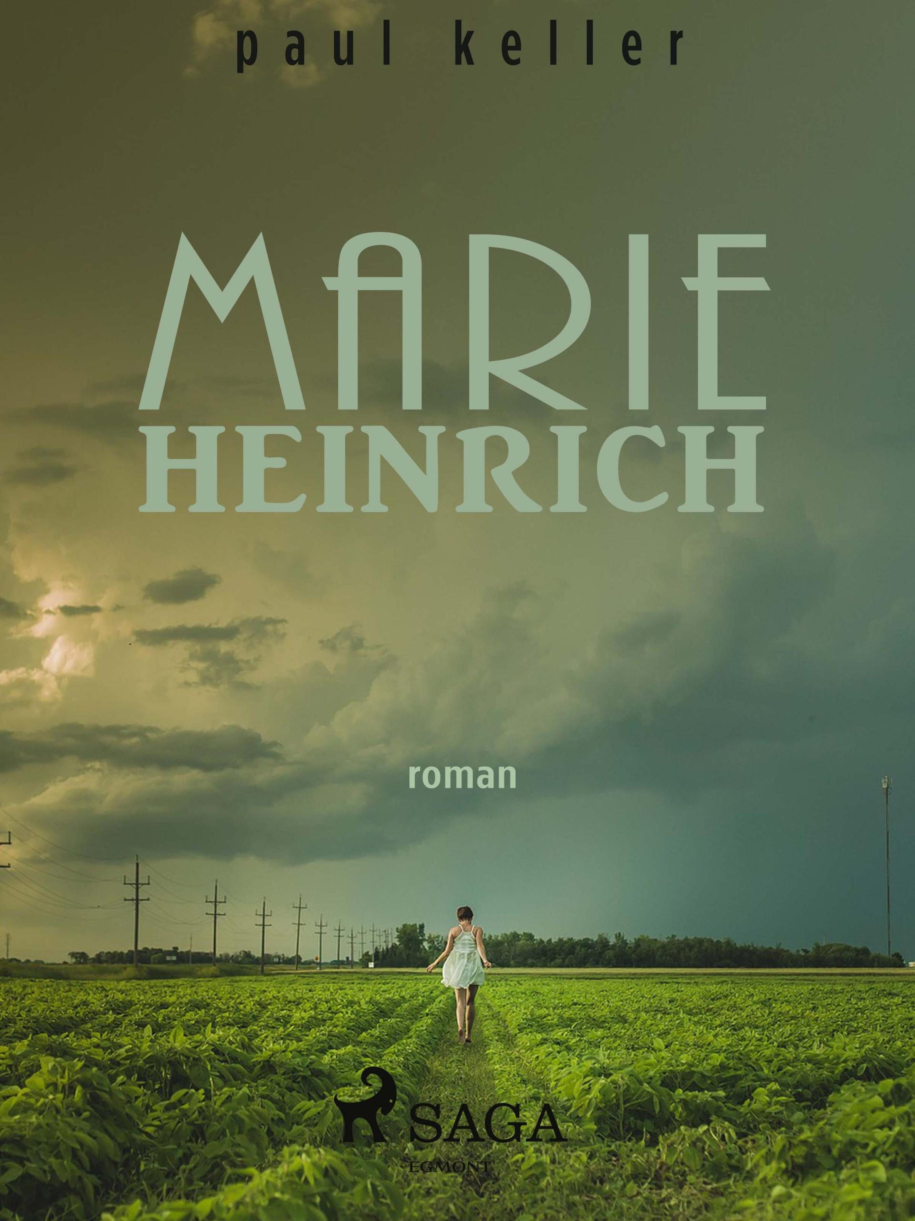 Обложка книги «Marie Heinrich»