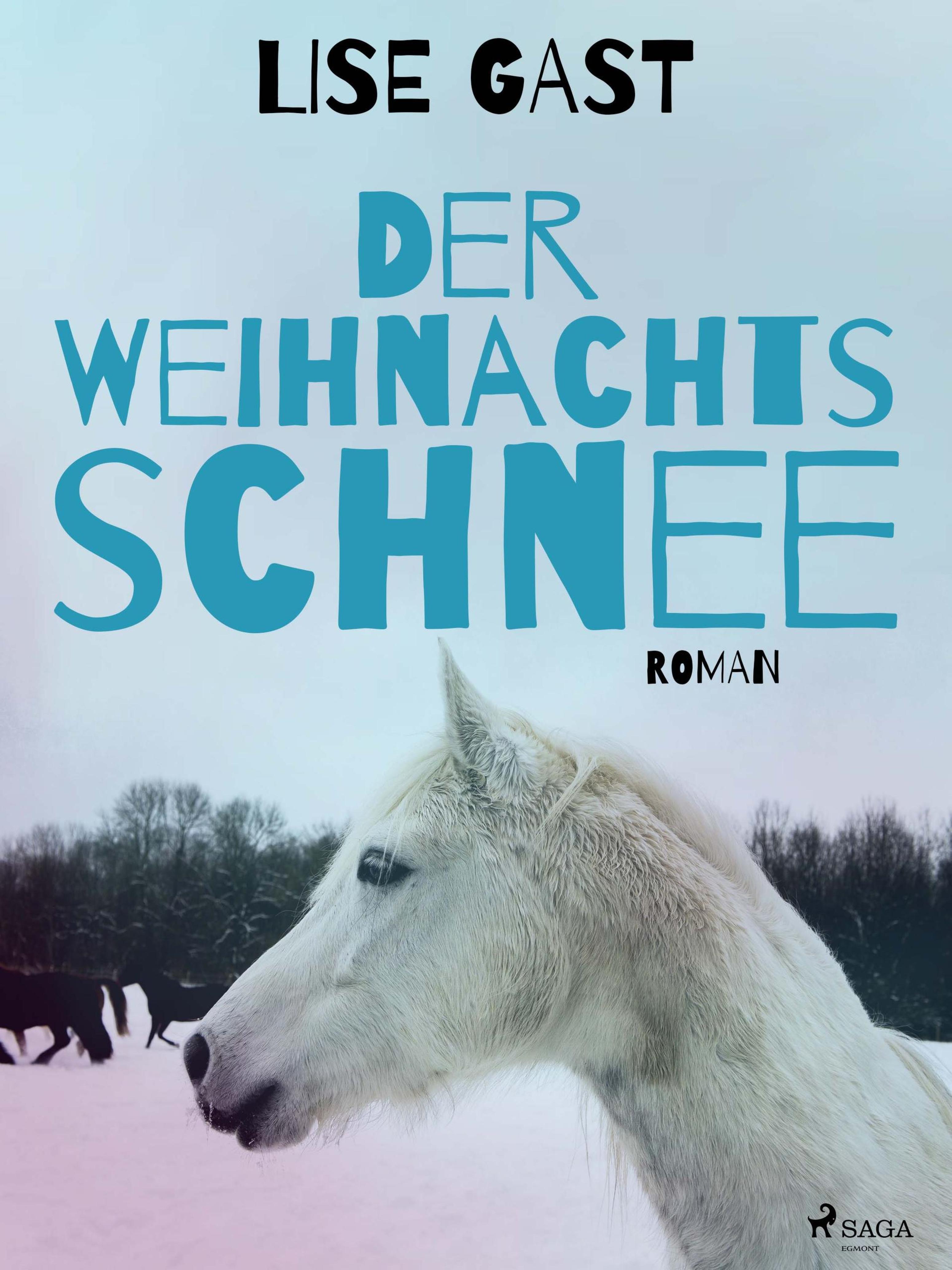 Обложка книги «Der Weihnachtsschnee»