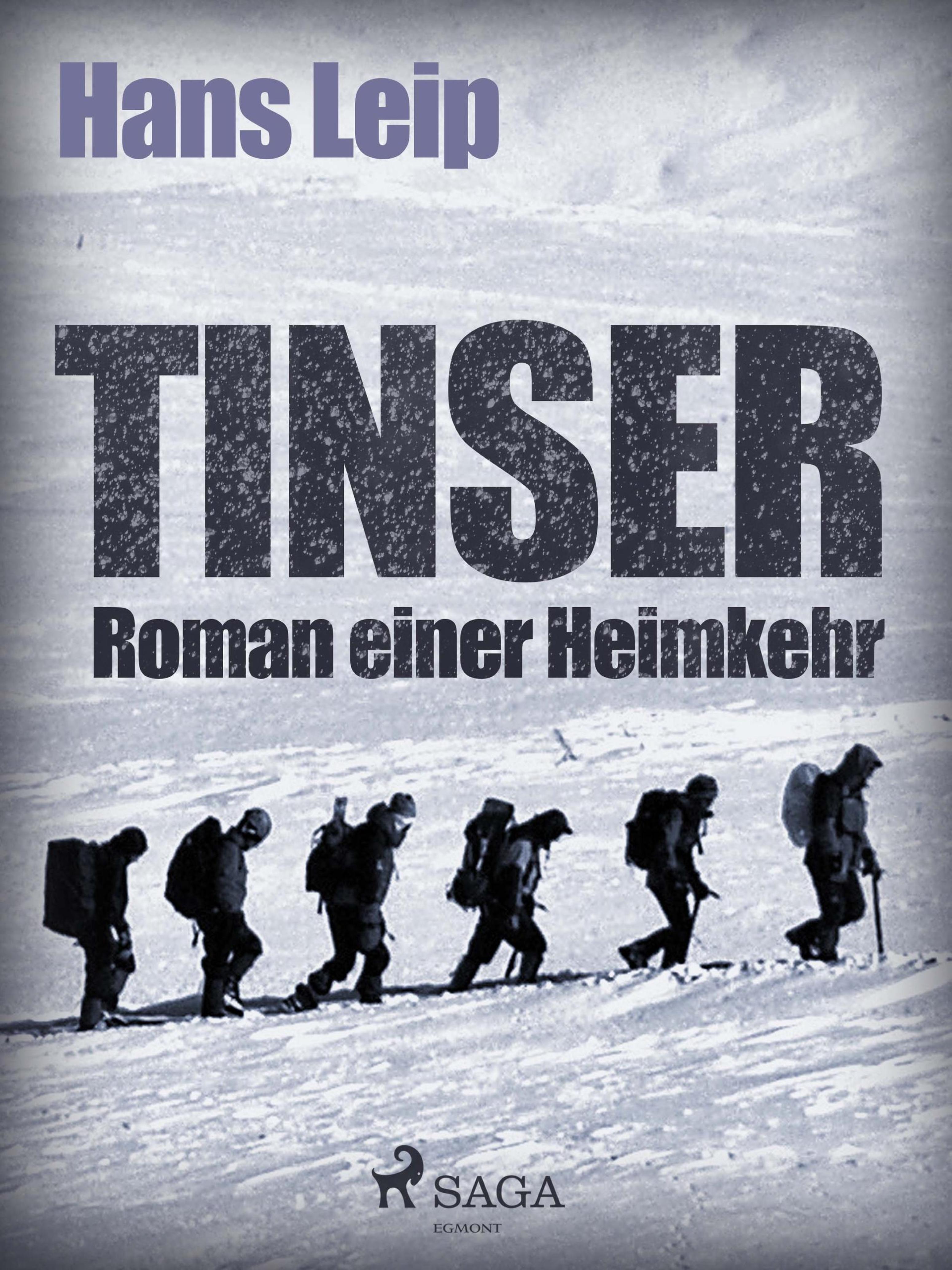 Обложка книги «Tinser»