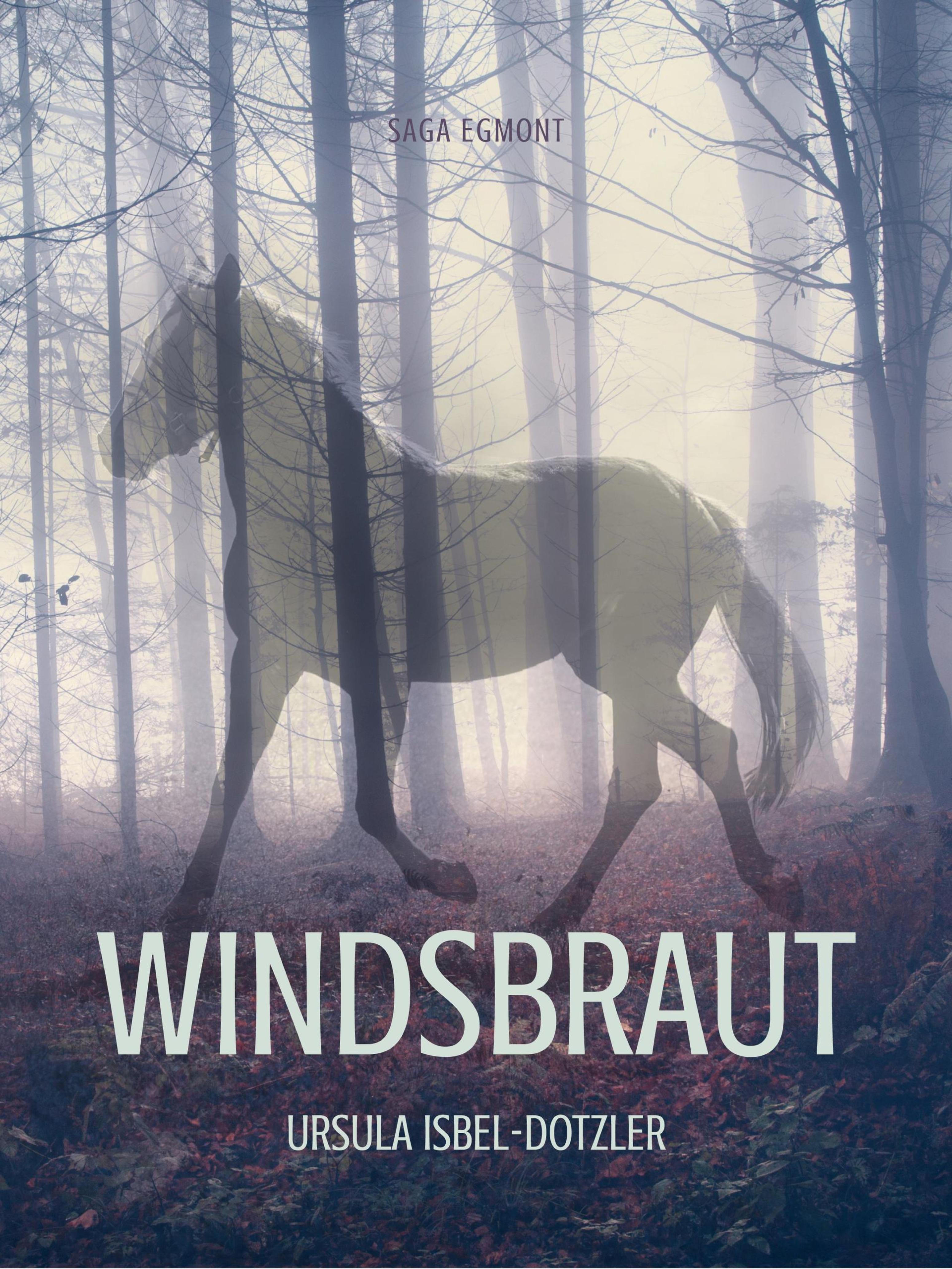 Обложка книги «Windsbraut»